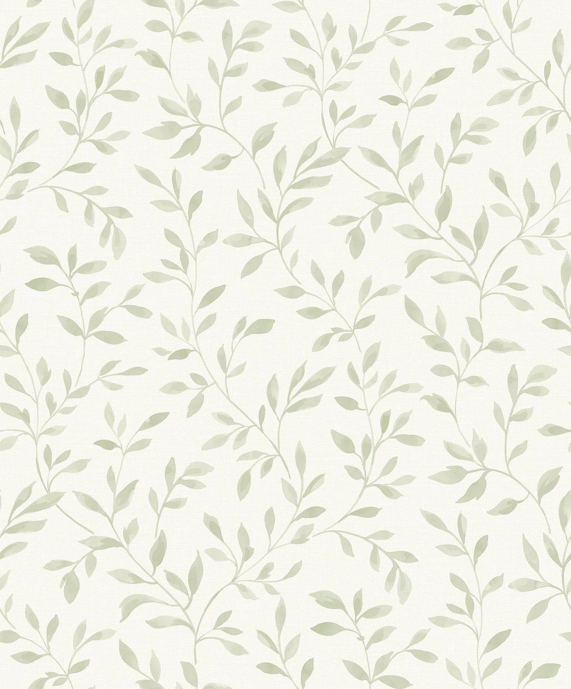 sage green, vines, leaves, Full HD Phone Wallpaper