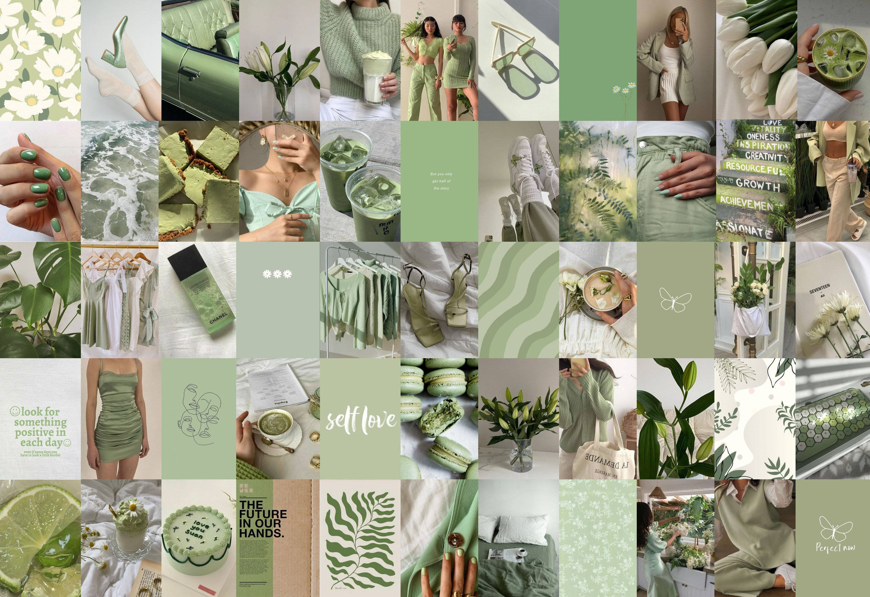 Sage Green Collage, green-themed collage, fashion accessories, 2K Desktop Wallpaper