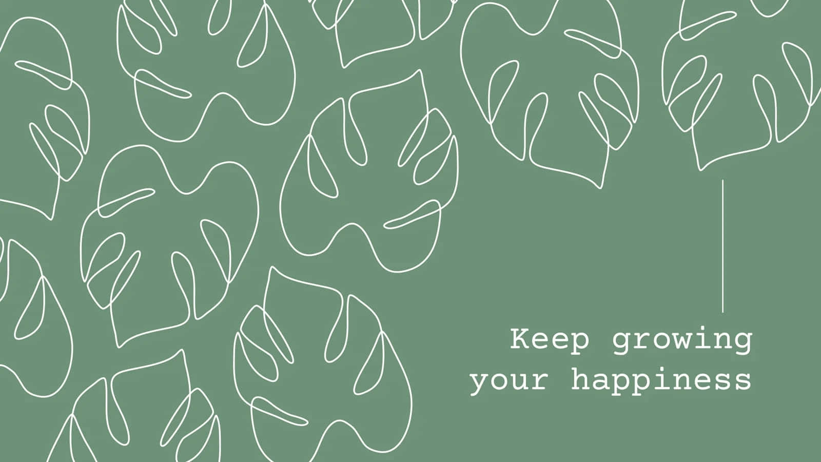 Sage Green Monstera Inspiration, Sage Green, monstera leaves, HD Desktop Wallpaper