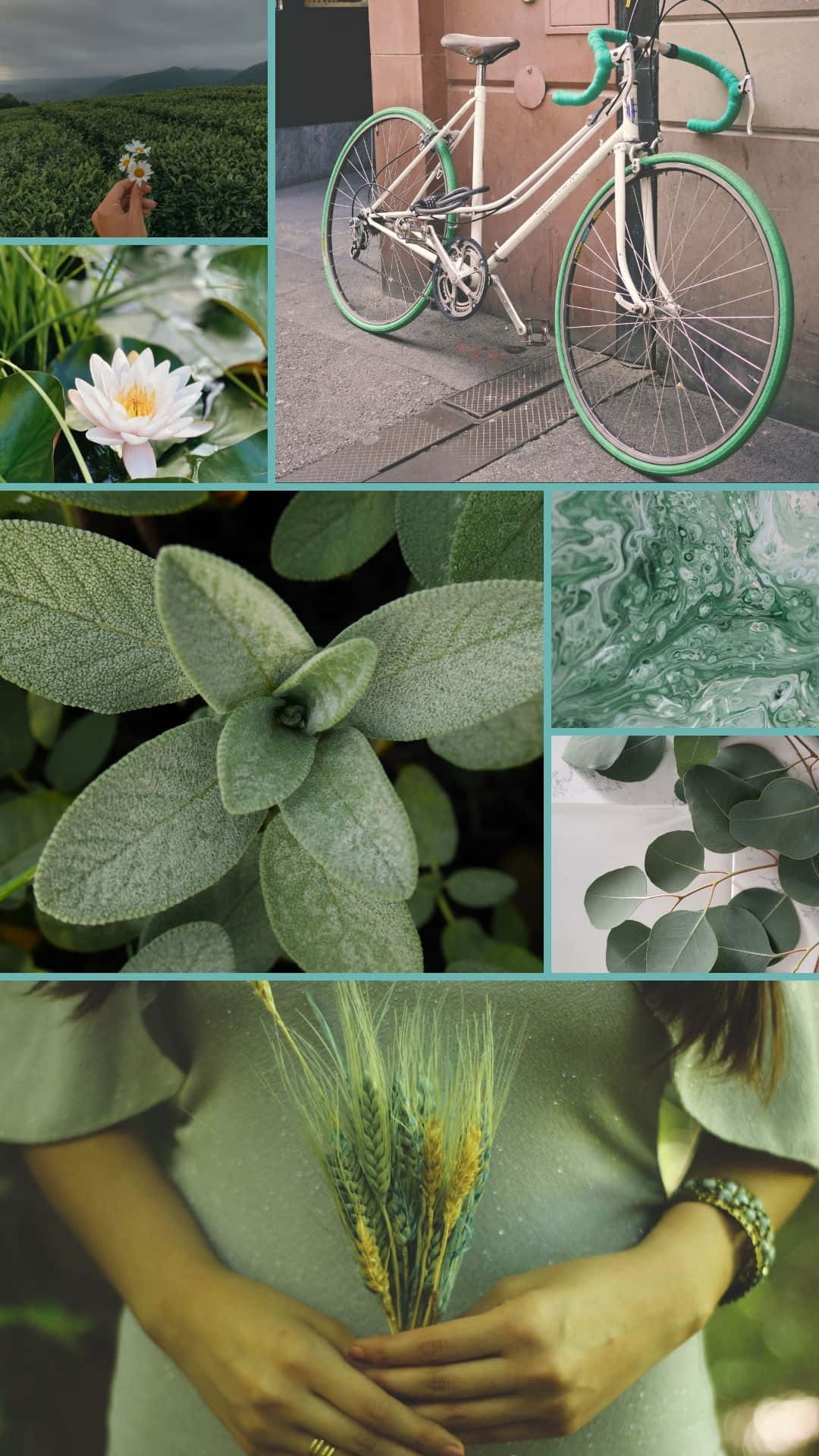 sage green, white bicycle, green accents, Full HD Phone Wallpaper