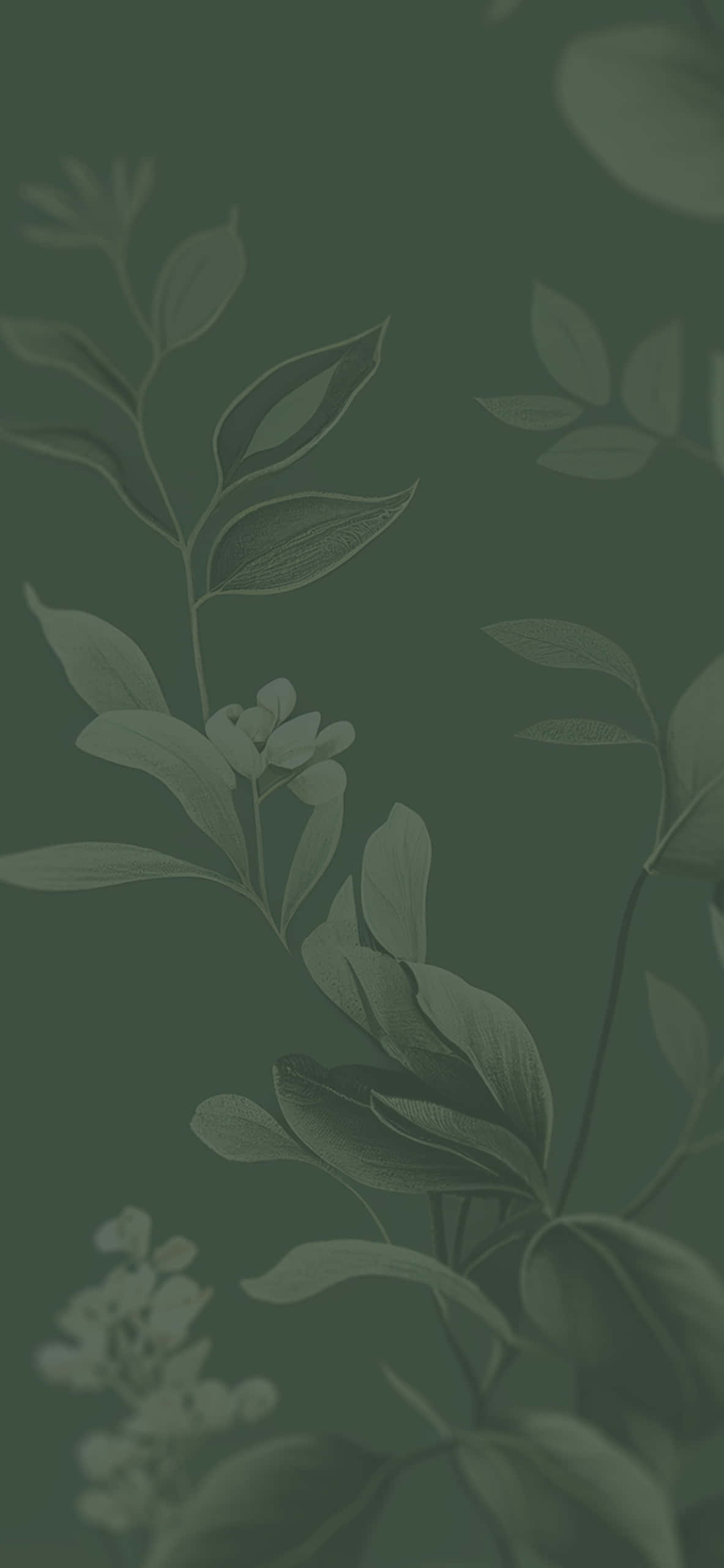 sage green, floral aesthetic, botanical wallpaper, 2K Phone Wallpaper
