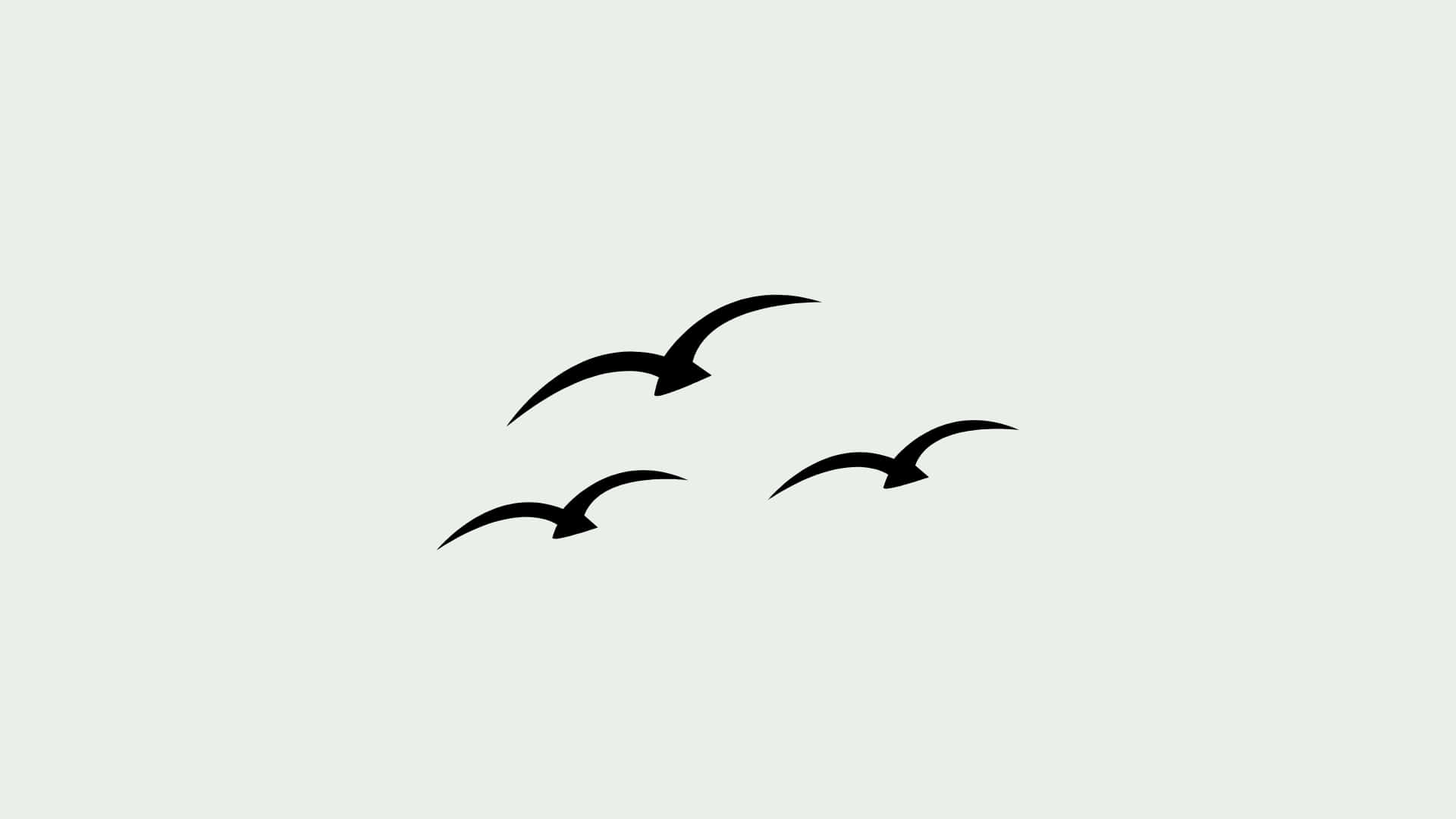 Sage Green, black bird silhouettes, off-white background, Full HD Desktop Wallpaper