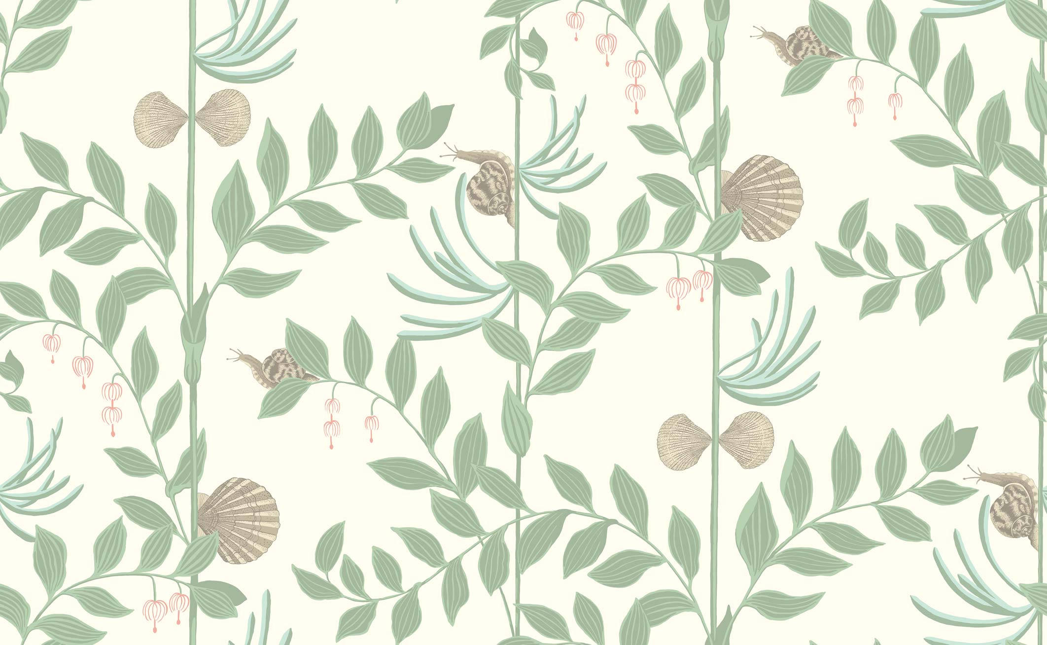 Pink Shells, Sage Green Backdrop, snails, Full HD Desktop Wallpaper