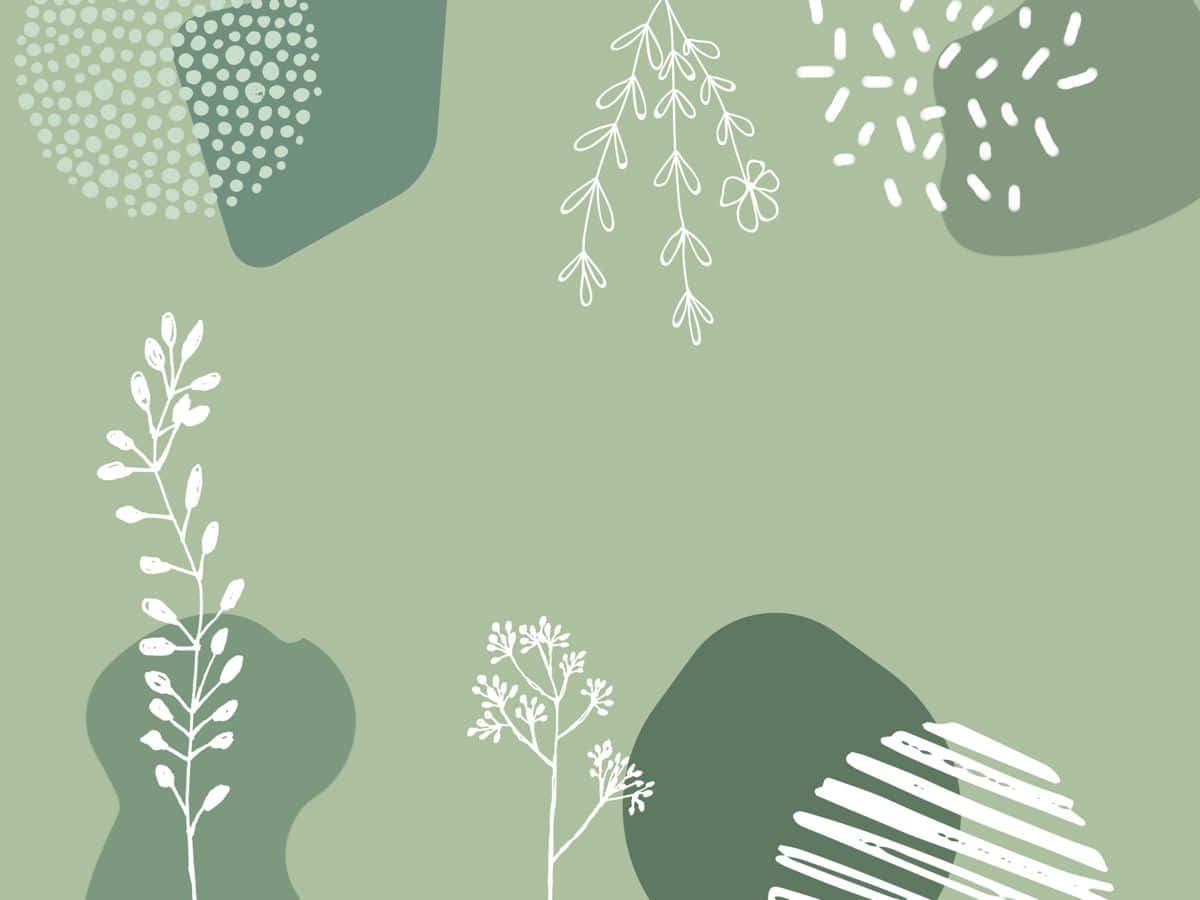 sage green, white line drawings, plants, SD Desktop Wallpaper