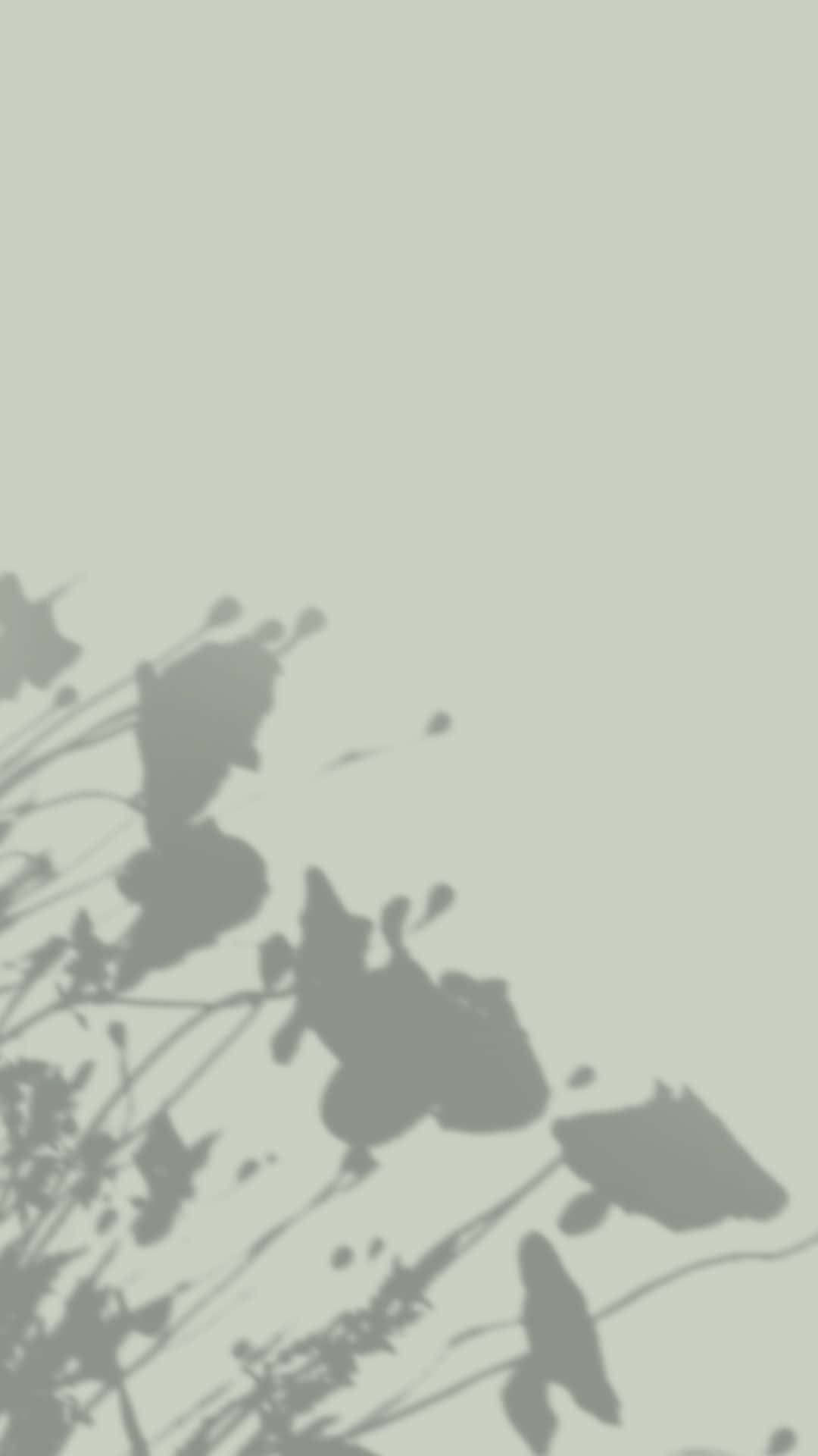 Sage Green Floral Shadows, soft gray shadows, leaves and stems, Full HD Phone Wallpaper
