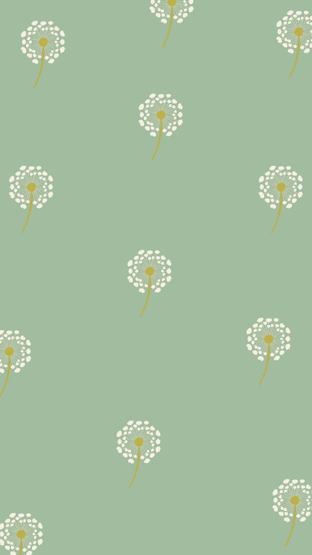 sage green, dandelion seed heads, slender stems, Full HD Phone Wallpaper