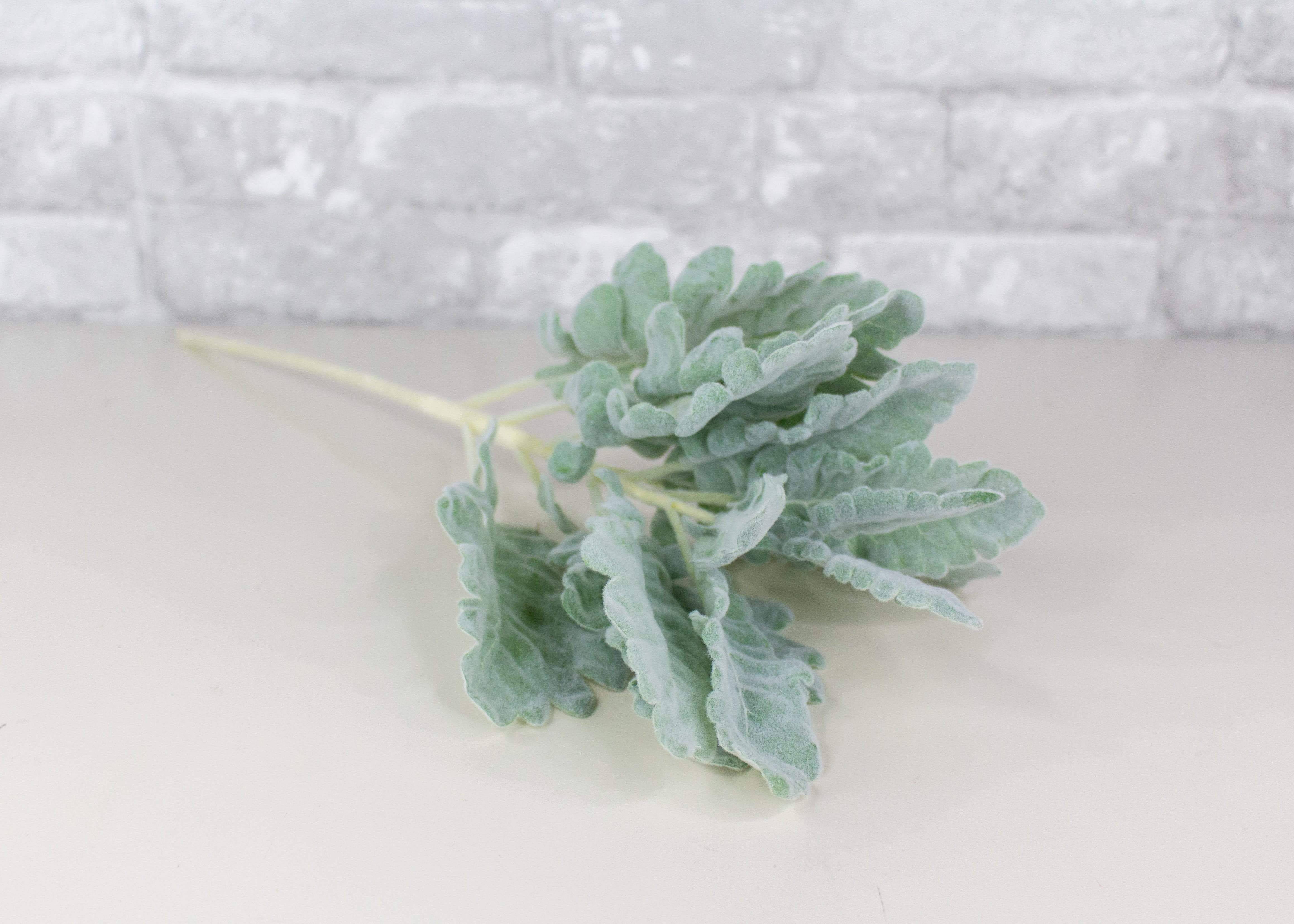 sage green aesthetic stem, soft silvery green leafy plant, pale surface, 4K Desktop Wallpaper