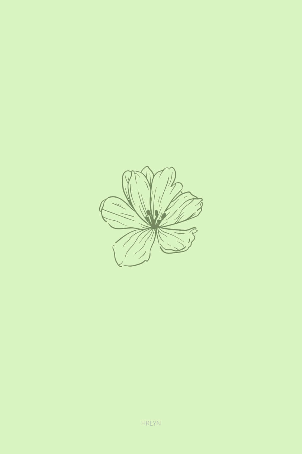 sage green, flower, center, HD Phone Wallpaper