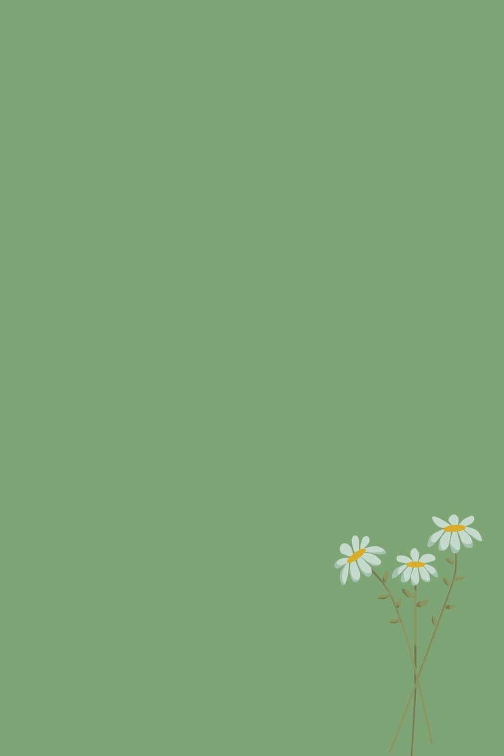 sage green, simple daisy design, white petals, HD Phone Wallpaper