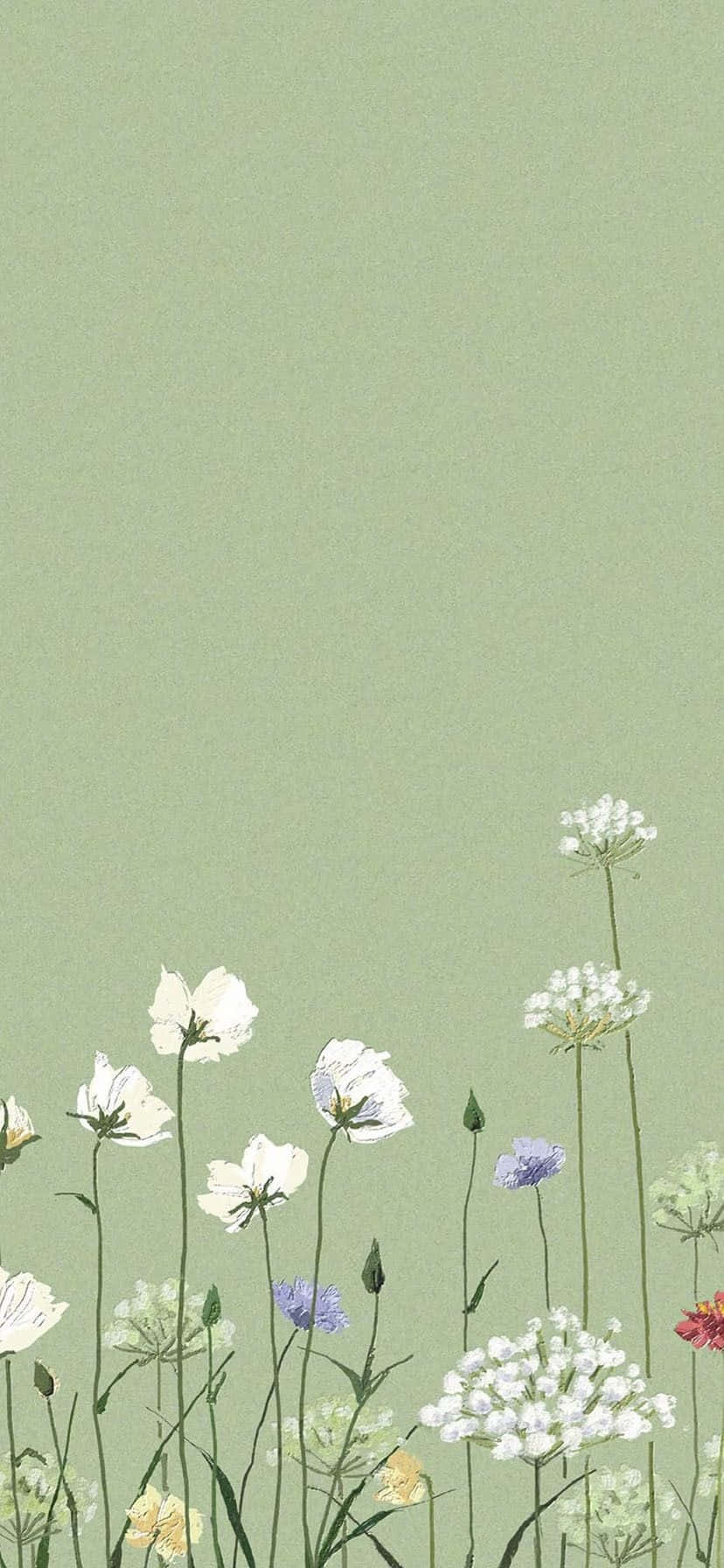 sage green, white purple and red wildflowers, soft sage green background, HD Phone Wallpaper