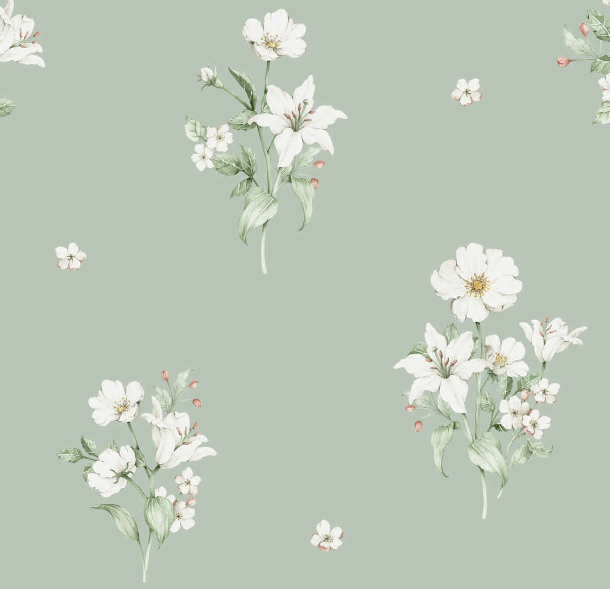 sage green, white lilies, cherry blossoms, SD Desktop Wallpaper