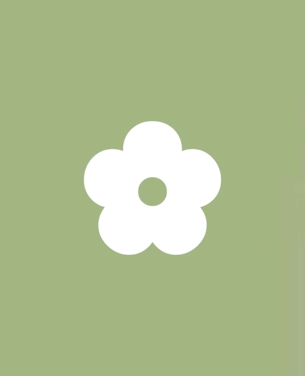 sage green, white flower, five rounded petals, SD Phone Wallpaper