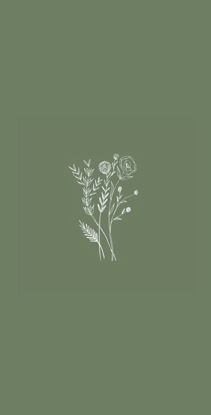 sage green, white line drawing, rose, HD Phone Wallpaper