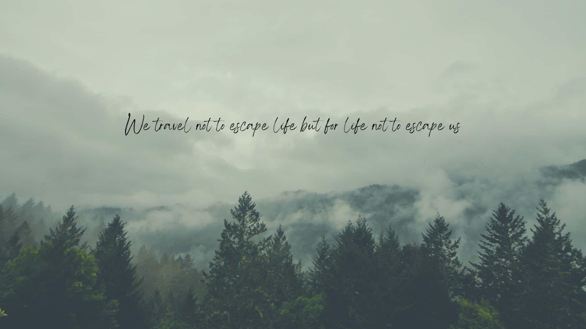 Sage Green Laptop, Misty forest peaks, fog, Full HD Desktop Wallpaper