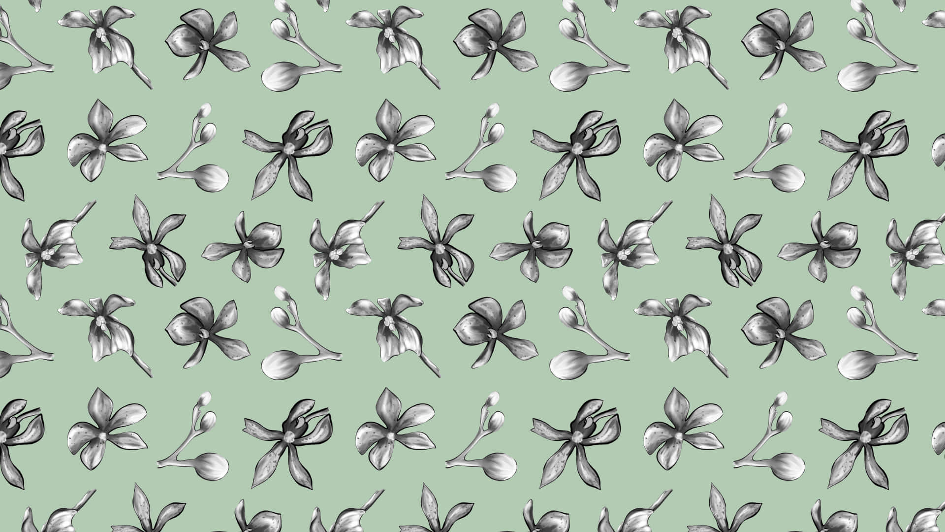 Sage Green Laptop, monochrome orchid illustrations, buds, Full HD Desktop Wallpaper