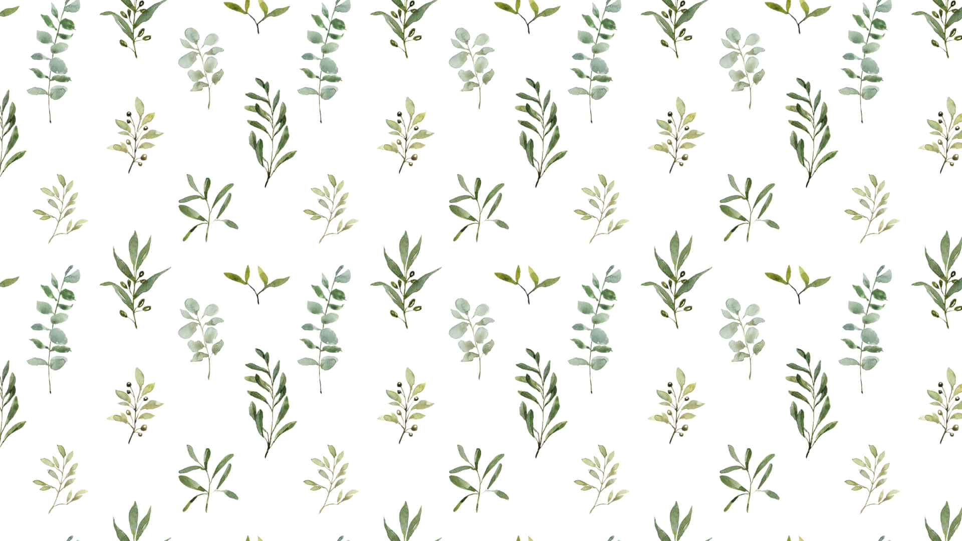 Sage Green Laptop, watercolor pattern, green eucalyptus branches, Full HD Desktop Wallpaper