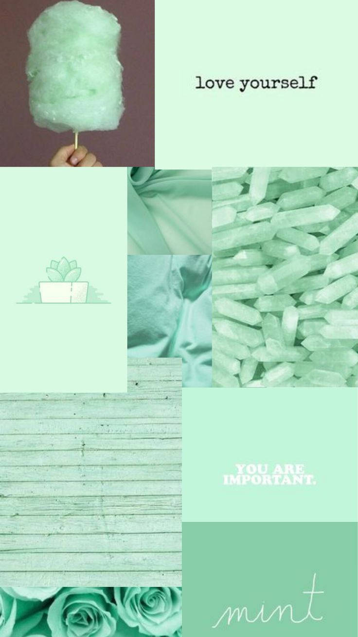 mint green, pastel green, cotton candy, HD Phone Wallpaper