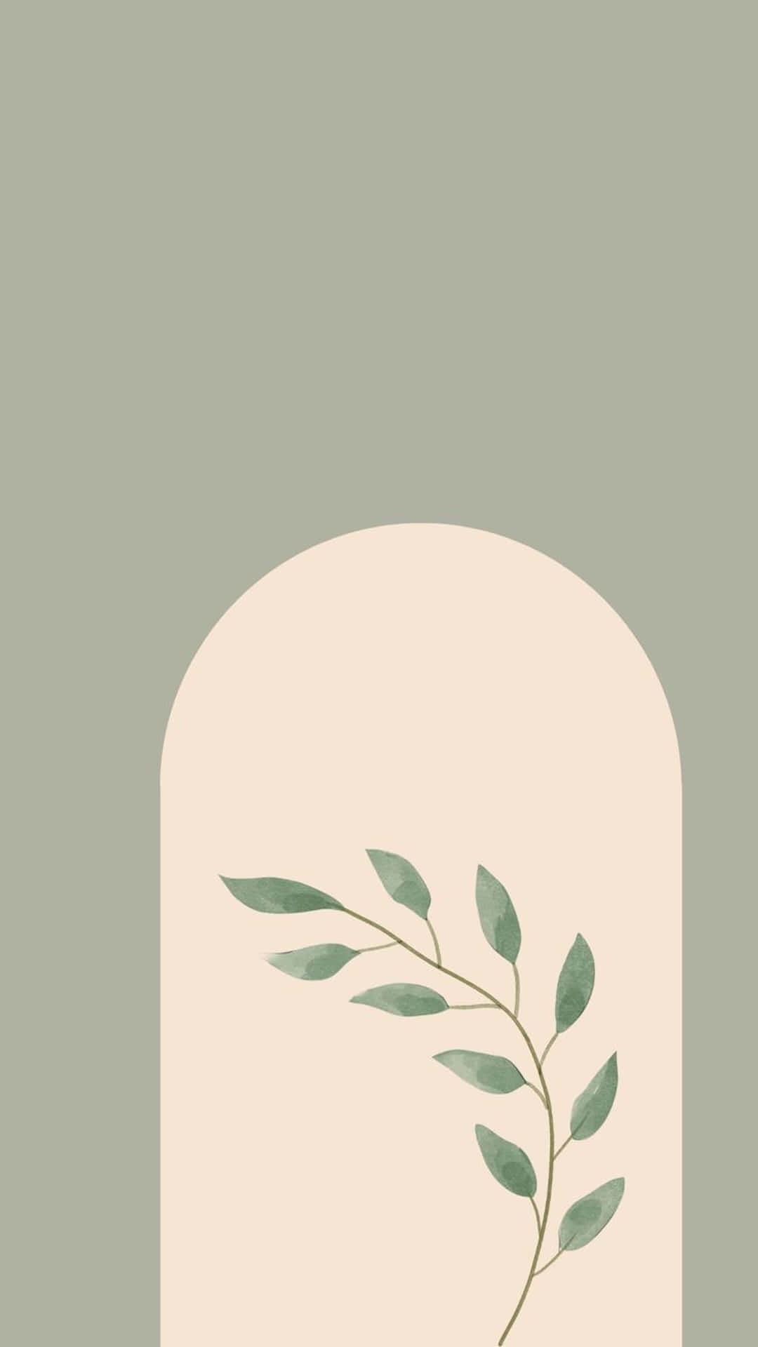 sage green, cream arched frame, muted sage background, Full HD Phone Wallpaper
