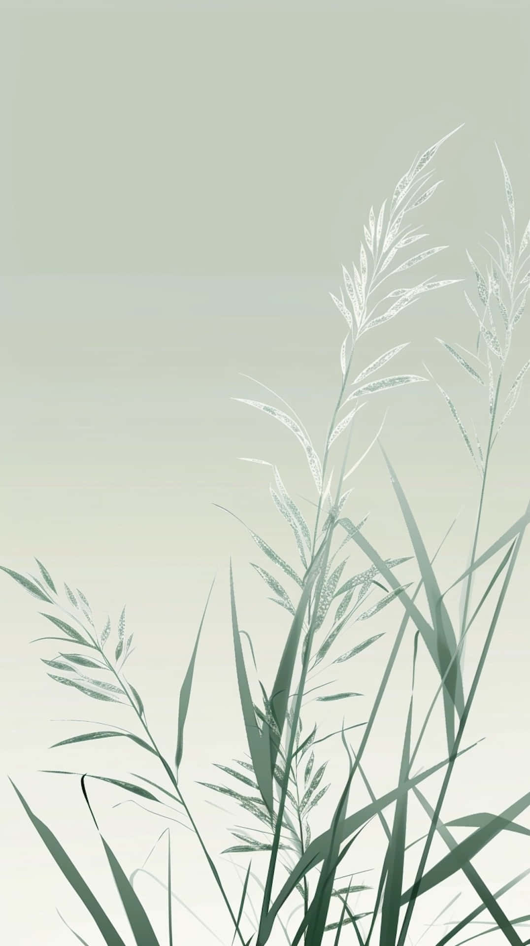 sage green, grass, feathery plumes, Full HD Phone Wallpaper