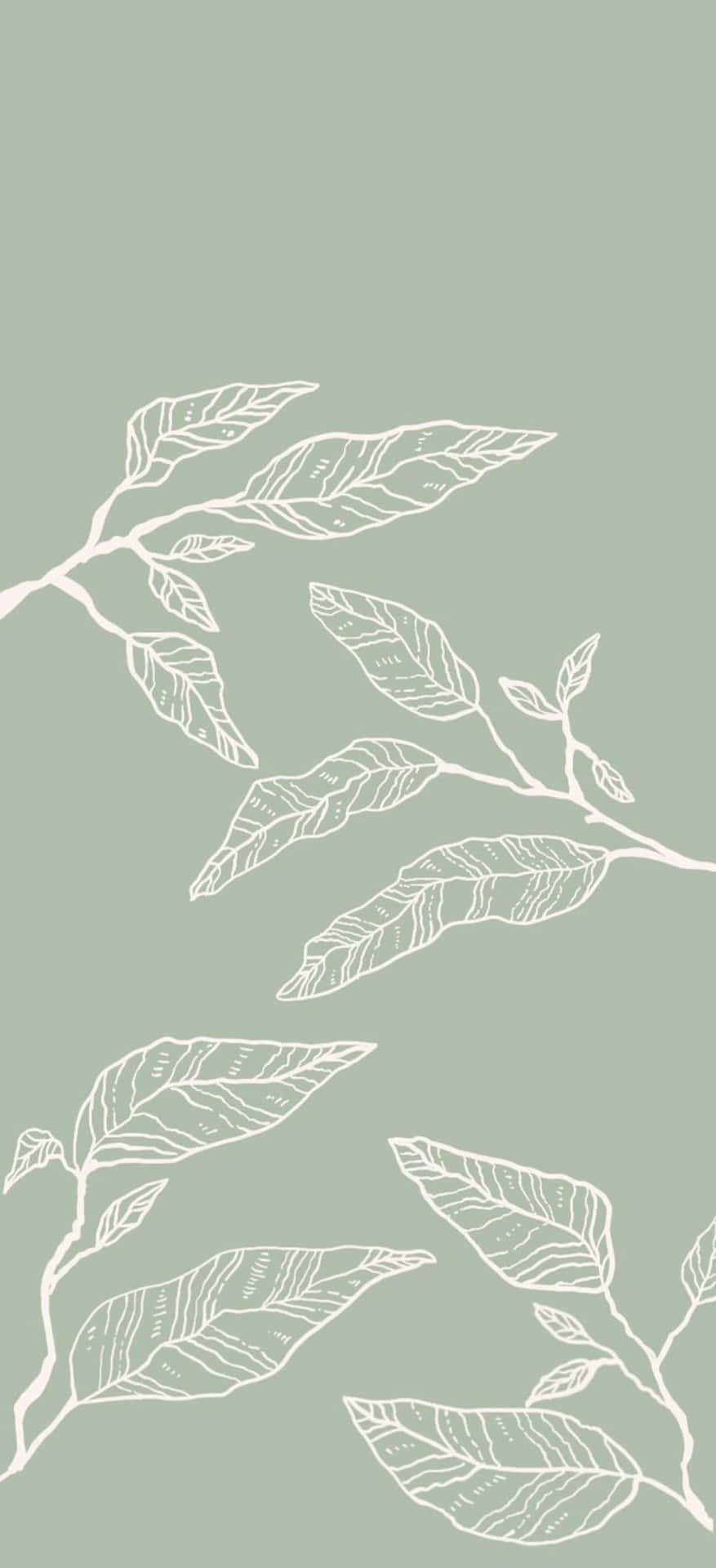 sage green, white line-drawn leaves, branches, Full HD Phone Wallpaper