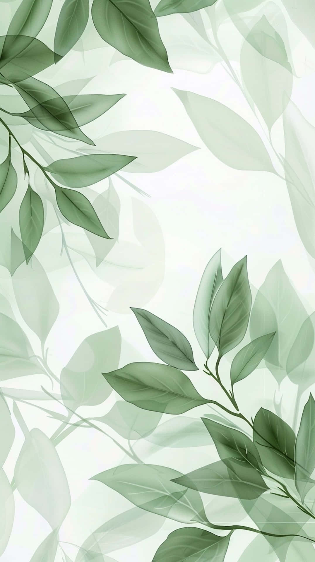 Sage Green Leaves, pale mint background, delicate green leaves, Full HD Phone Wallpaper