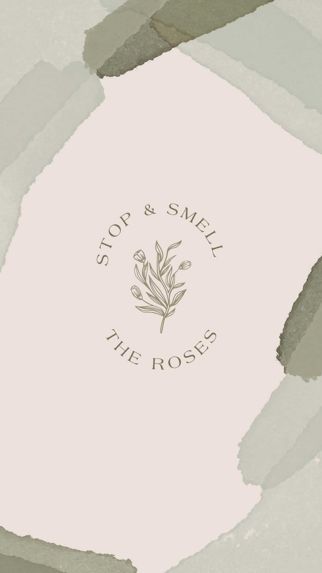 Sage Green, rose sprig, stop and smell the roses, Full HD Phone Wallpaper