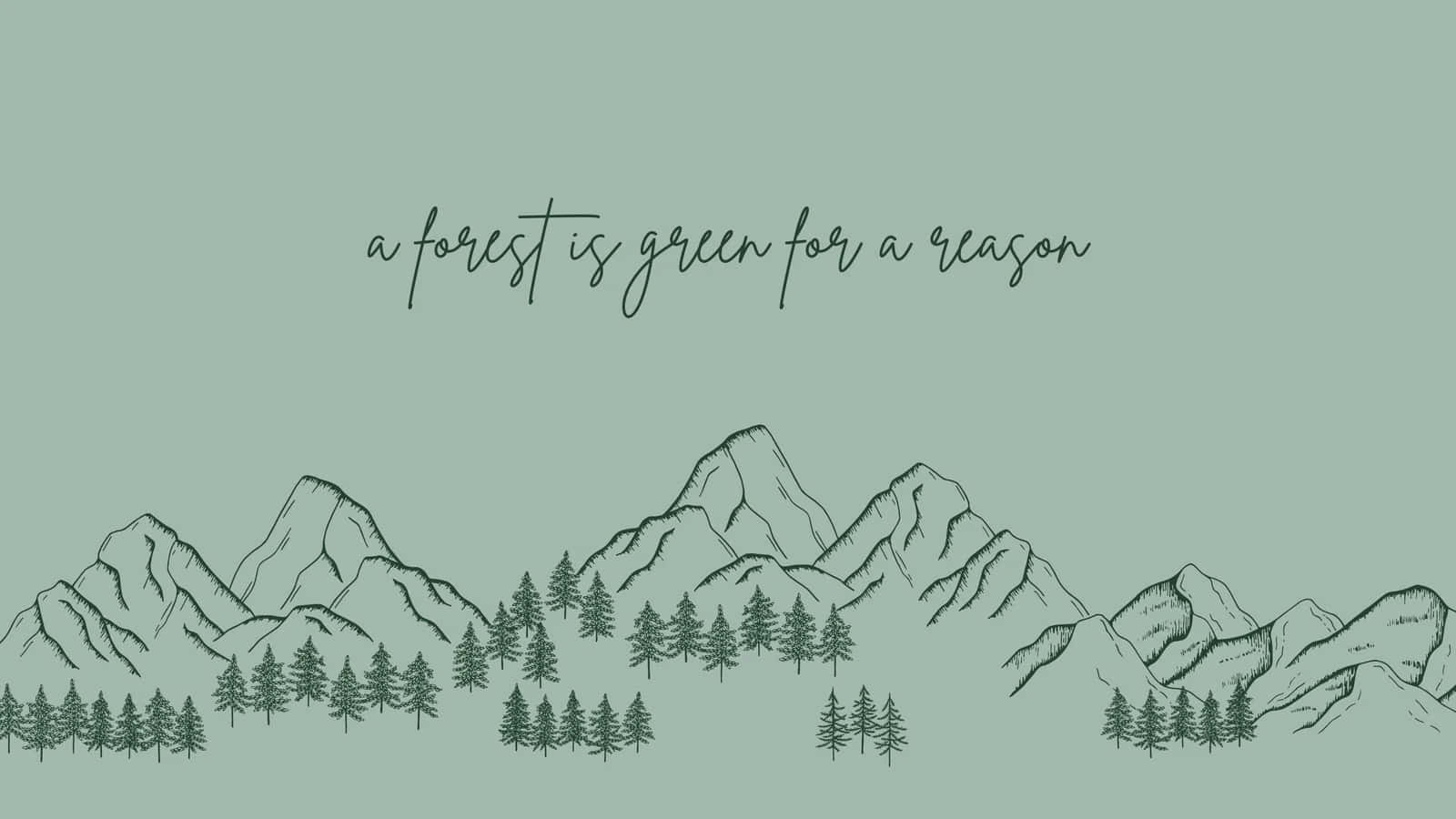 sage green, mountains, pine trees, HD Desktop Wallpaper
