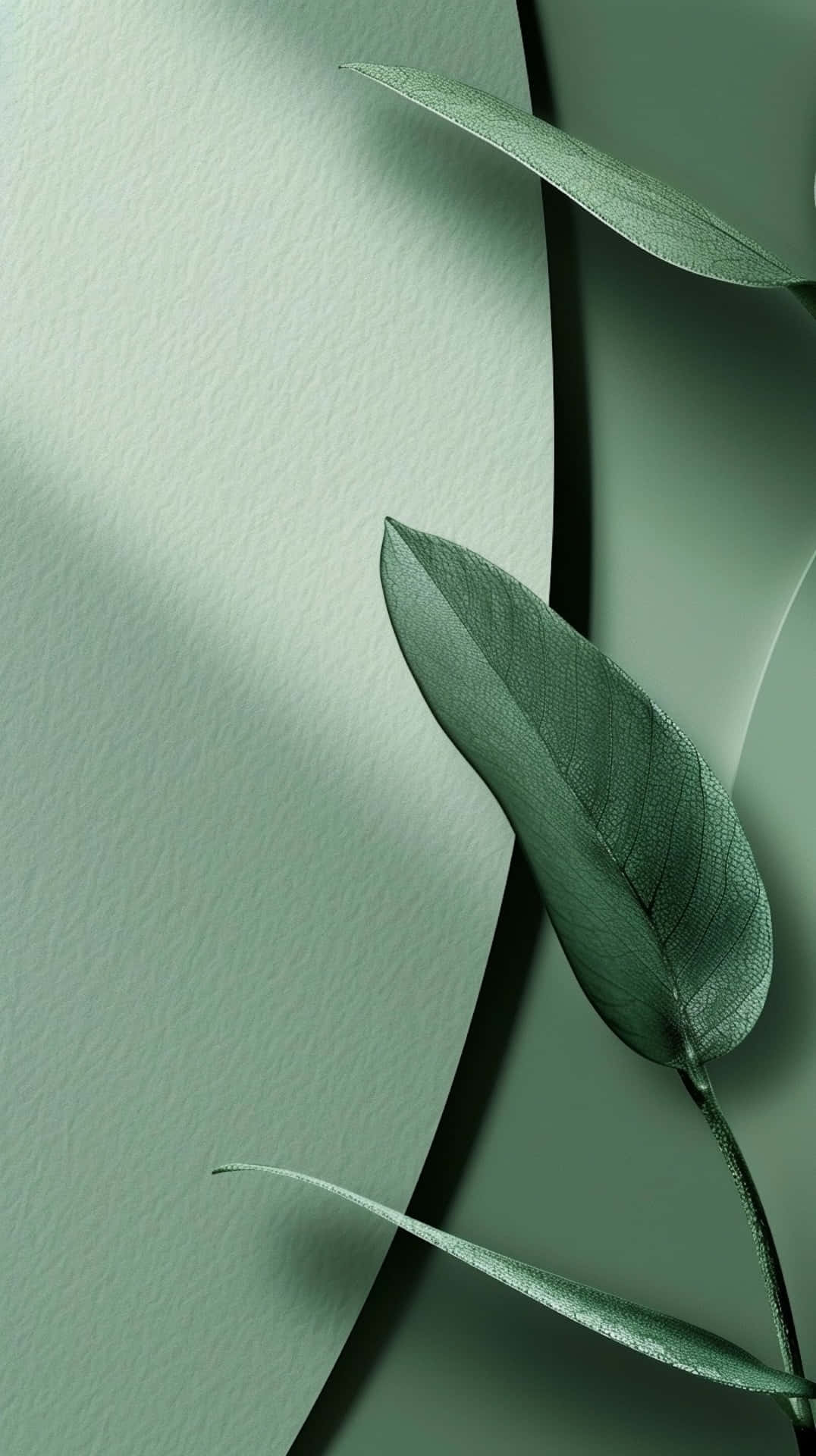 Sage Green, mint background, leaves, Full HD Phone Wallpaper