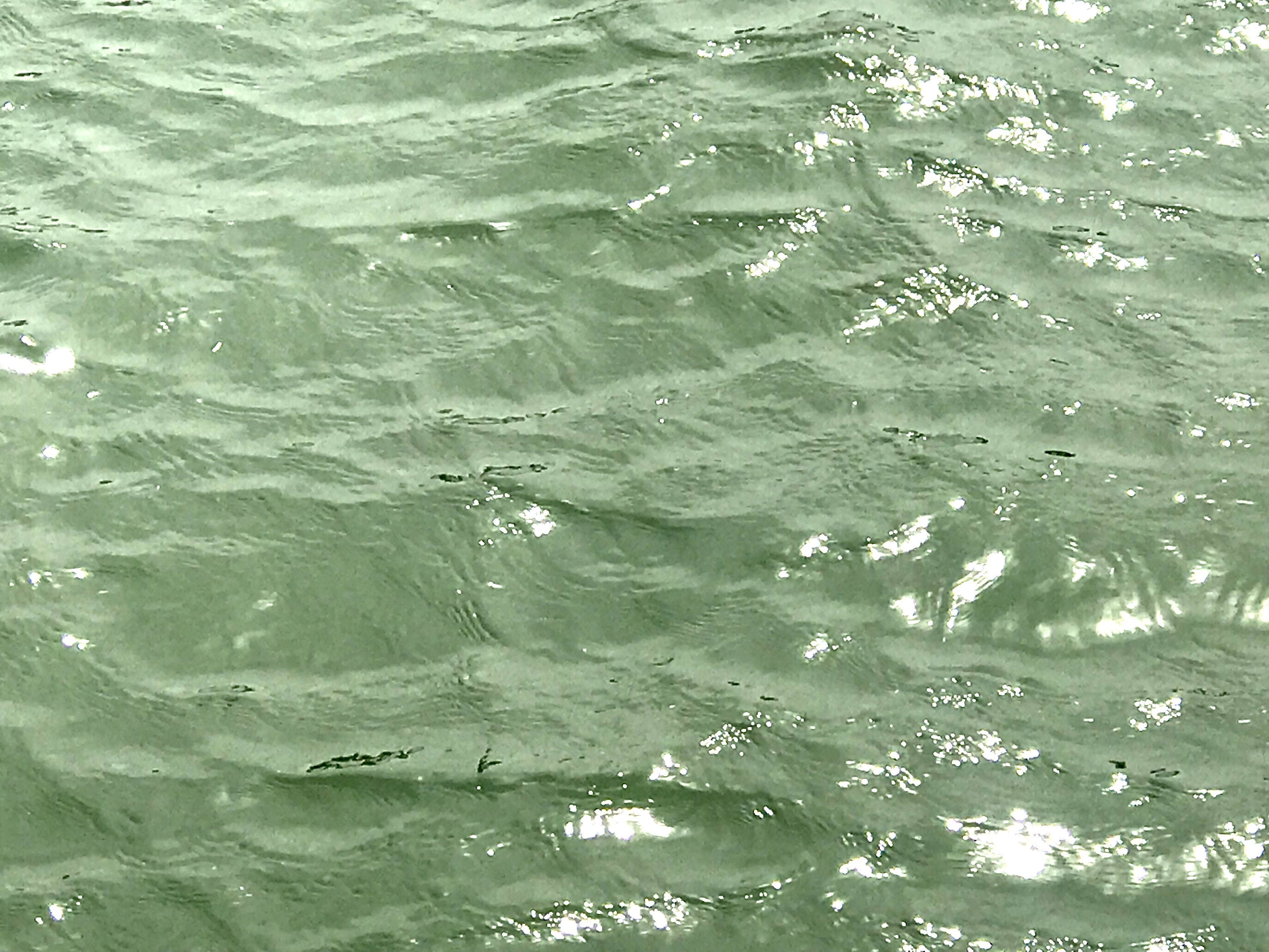 Sage Green Waves, ripping greenish water, sunlight glinting, 4K Desktop Wallpaper