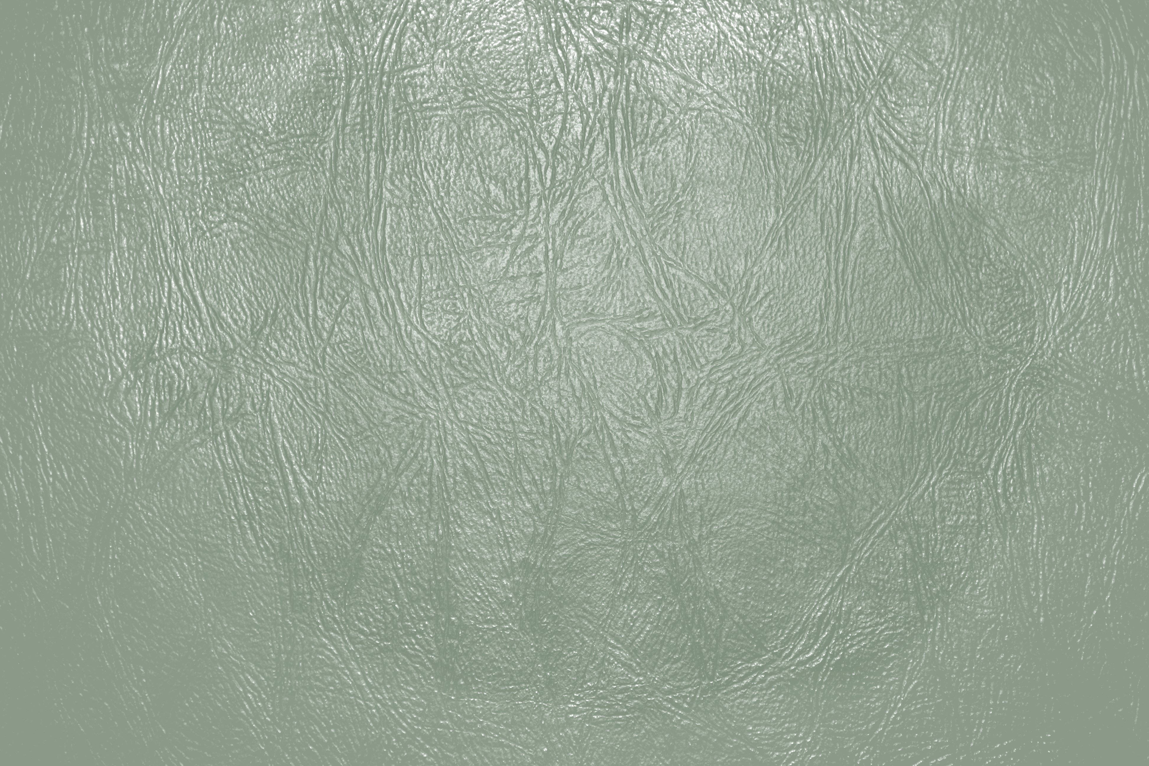 sage green, leather, creases, 4K Desktop Wallpaper