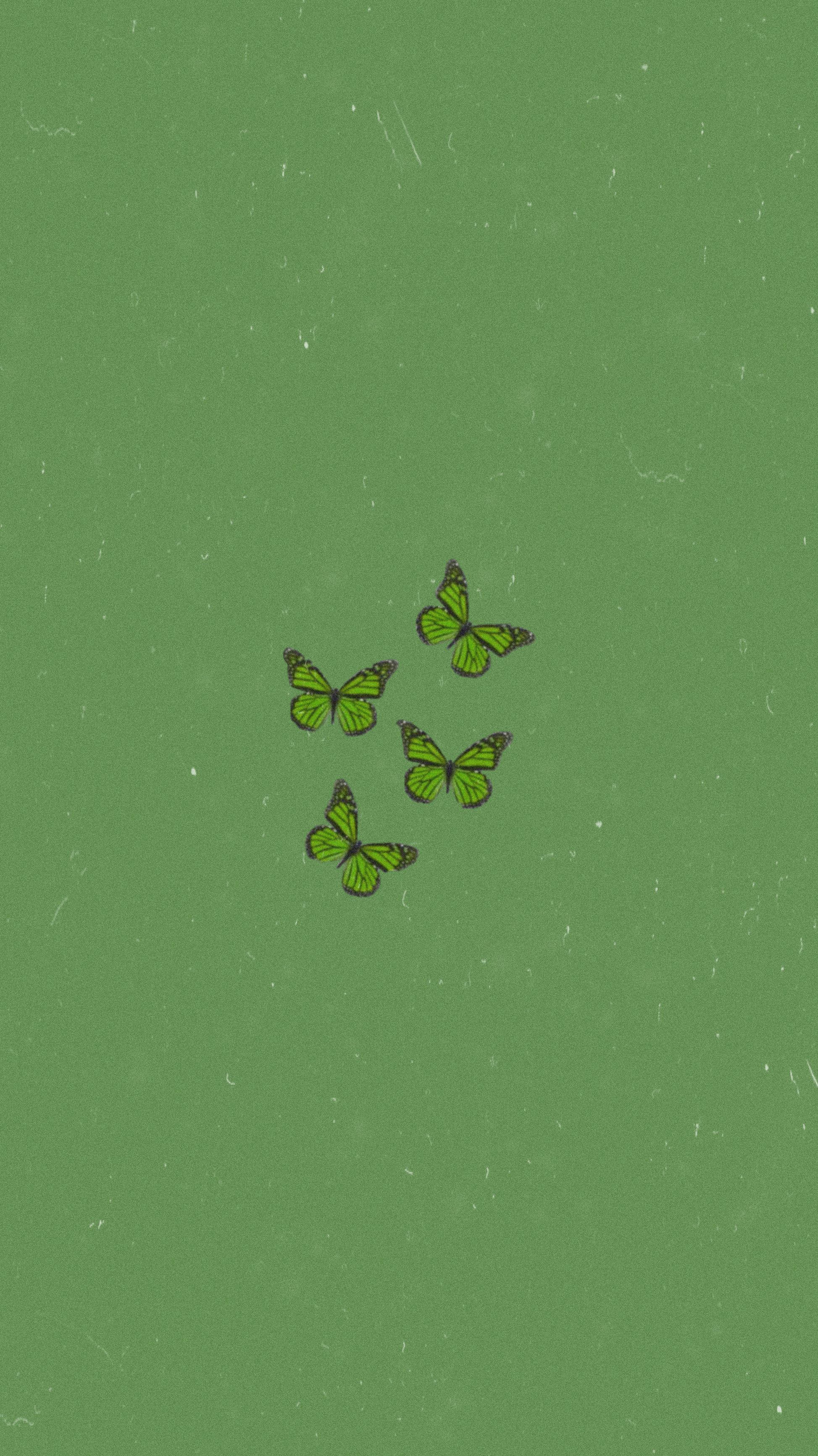 Sage Green, iPhone, butterflies, 2K Phone Wallpaper