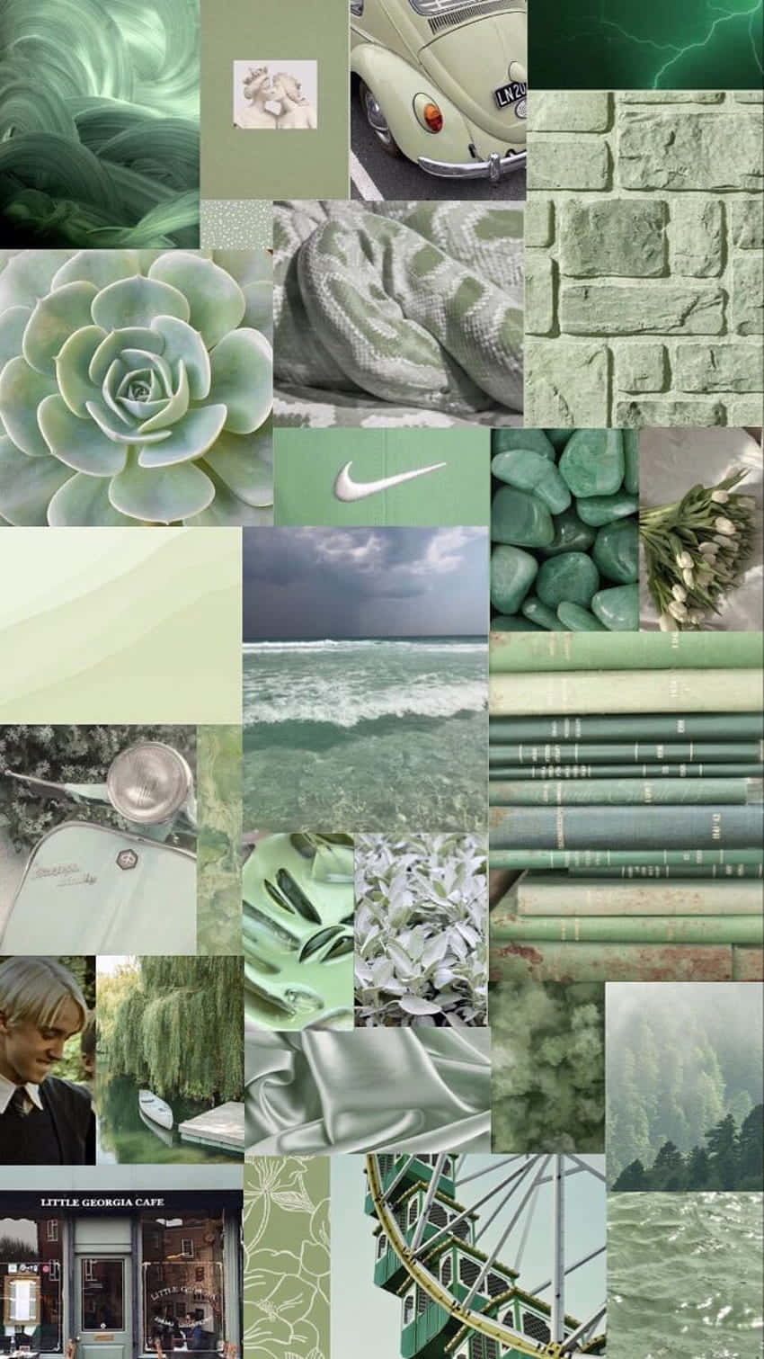 mint green, succulents, vintage cars, HD Phone Wallpaper
