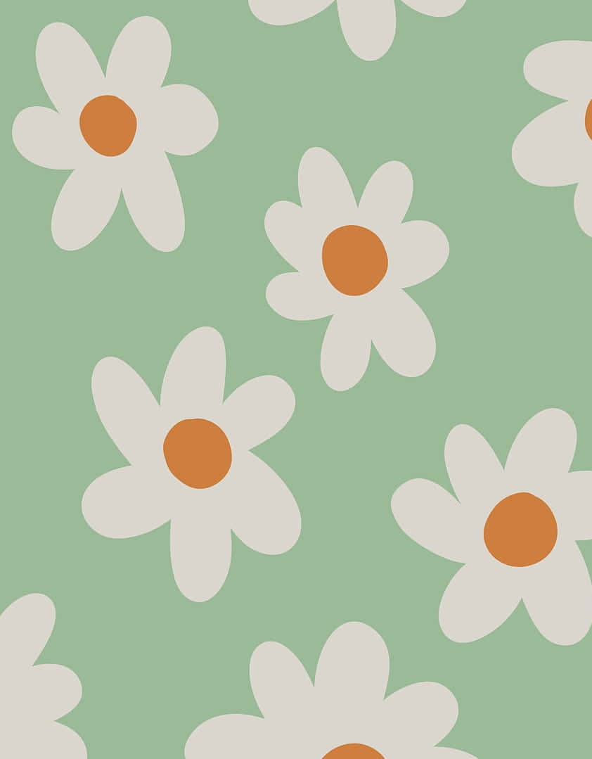sage green, white daisies, orange centers, SD Phone Wallpaper
