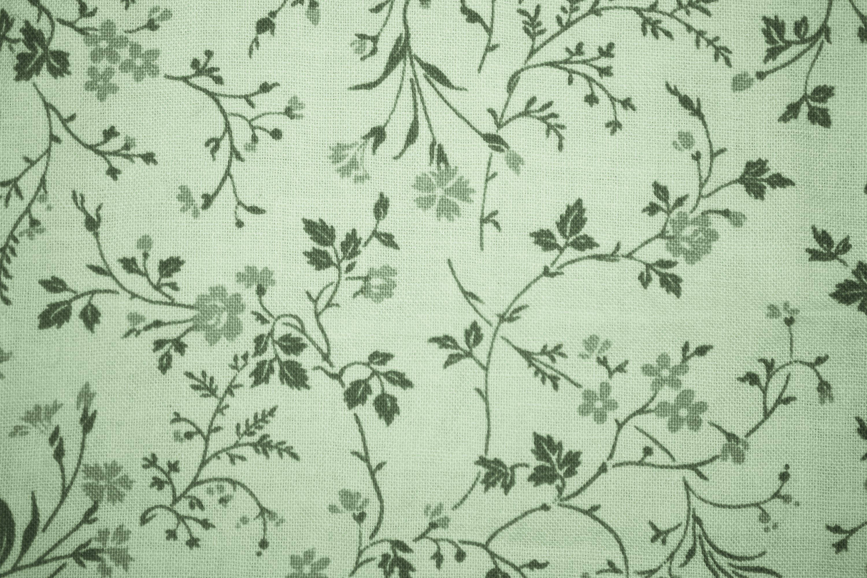 Sage Green, floral print, dark green floral vines, 2K Desktop Wallpaper