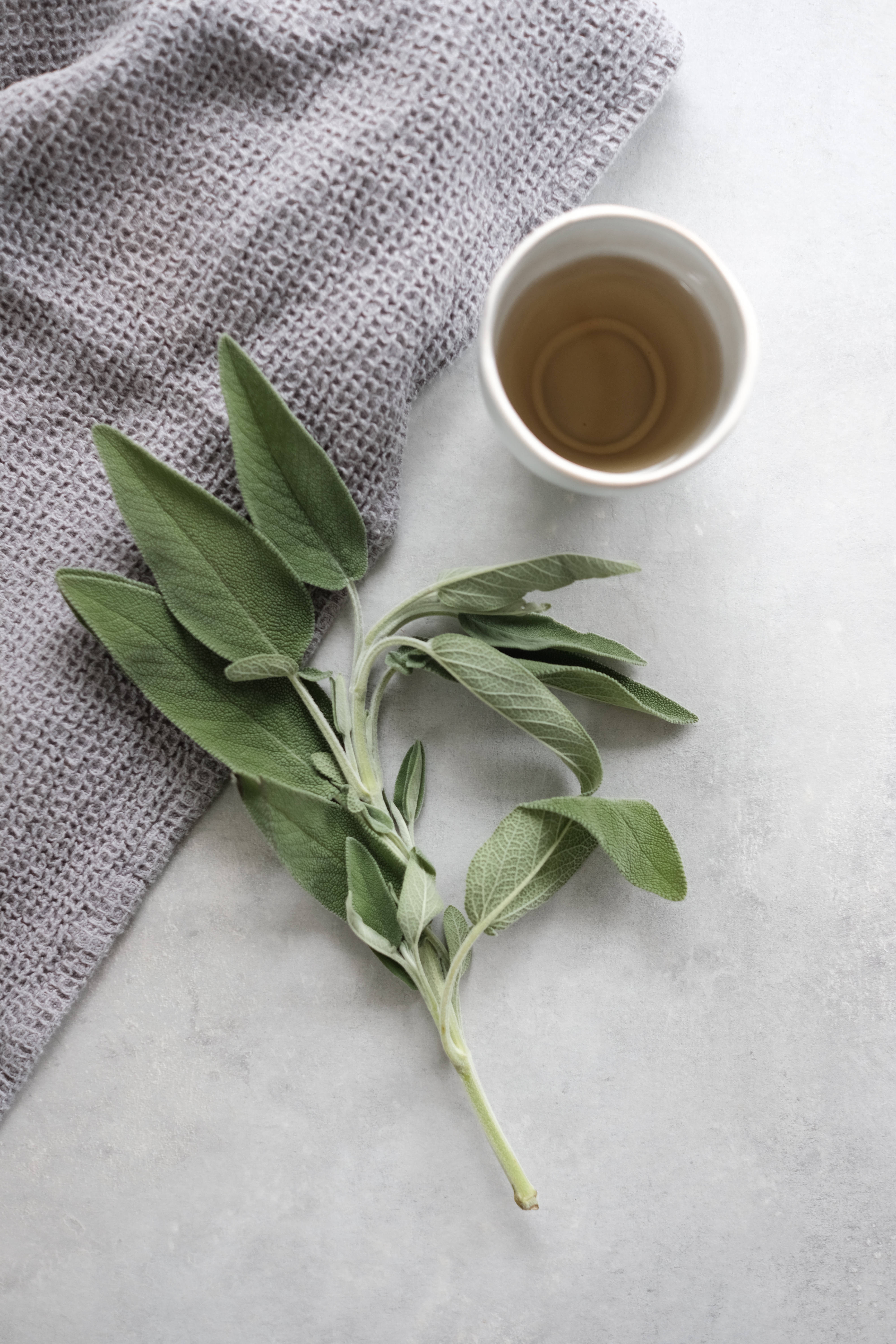 sage green, fresh sage, herbal tea, 5K Phone Wallpaper