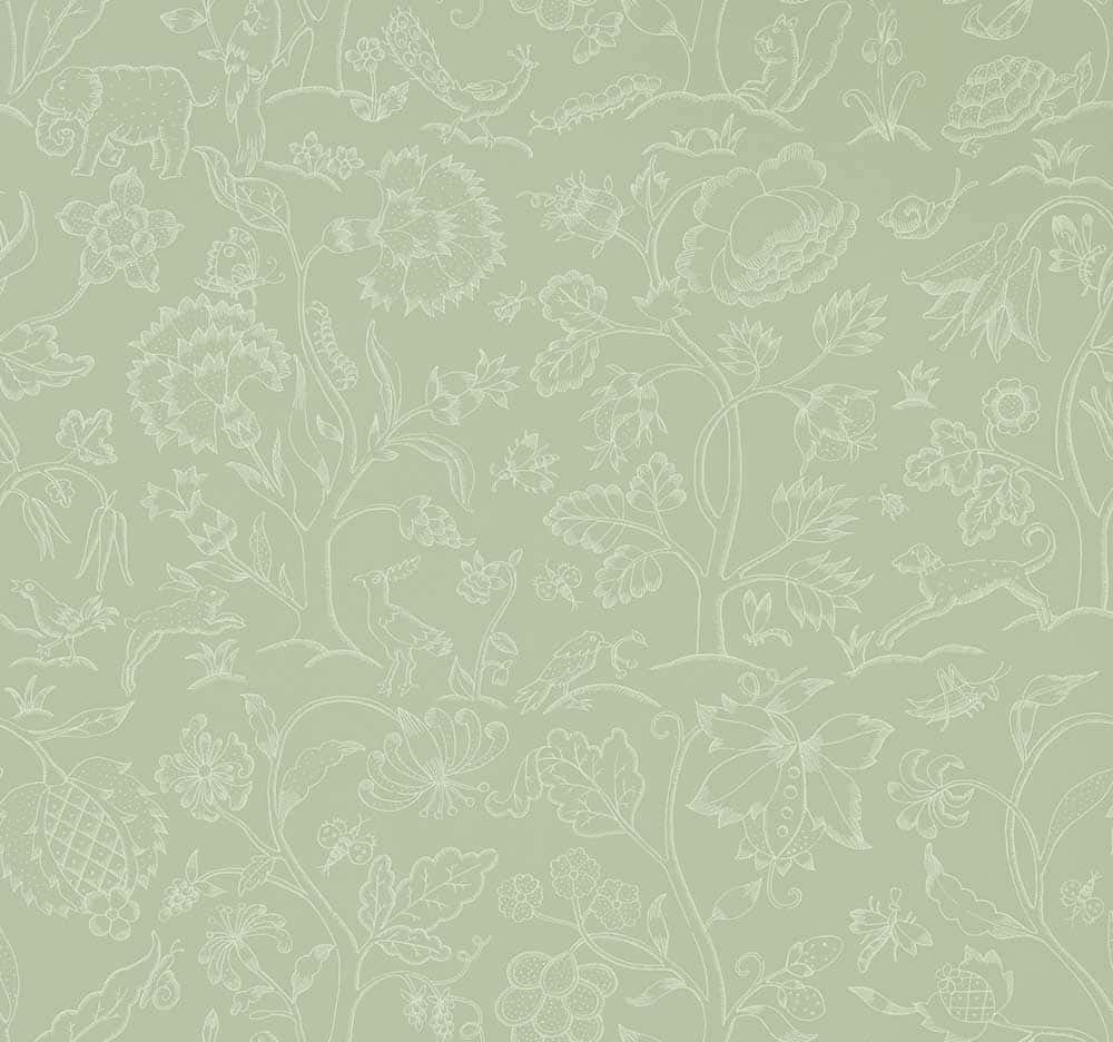 sage green, white line drawings, flowers, SD Desktop Wallpaper