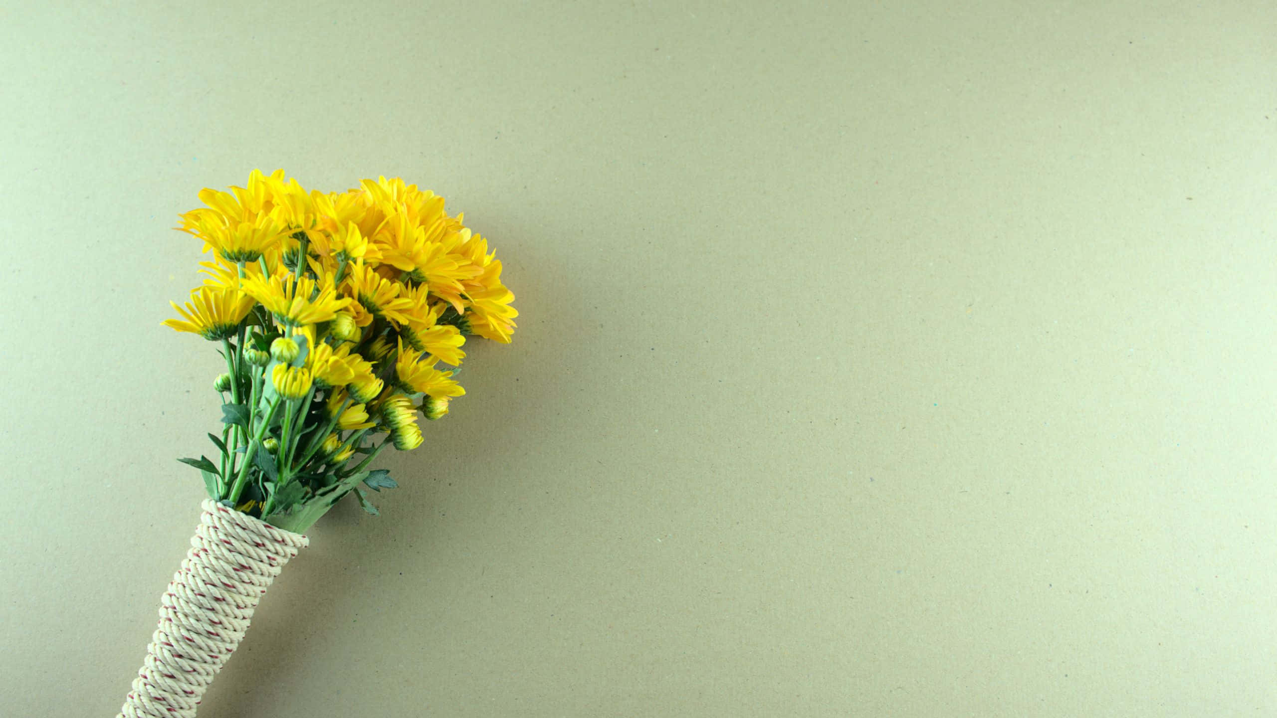 Sage Green, yellow daisies, woven vase, 2K Desktop Wallpaper