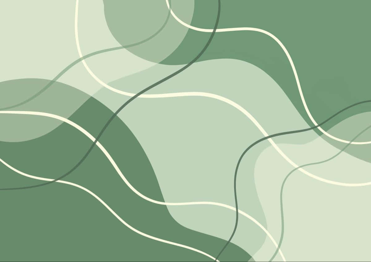 Sage Green, curvy lines, abstract flowing lines, SD Desktop Wallpaper