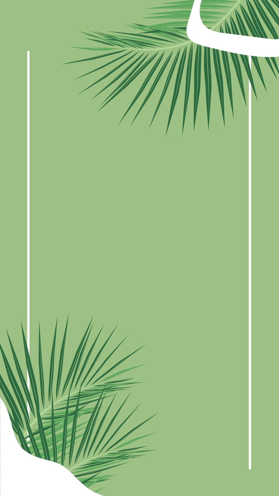 palm leaves, sage aesthetic, minimalist green, HD Phone Wallpaper