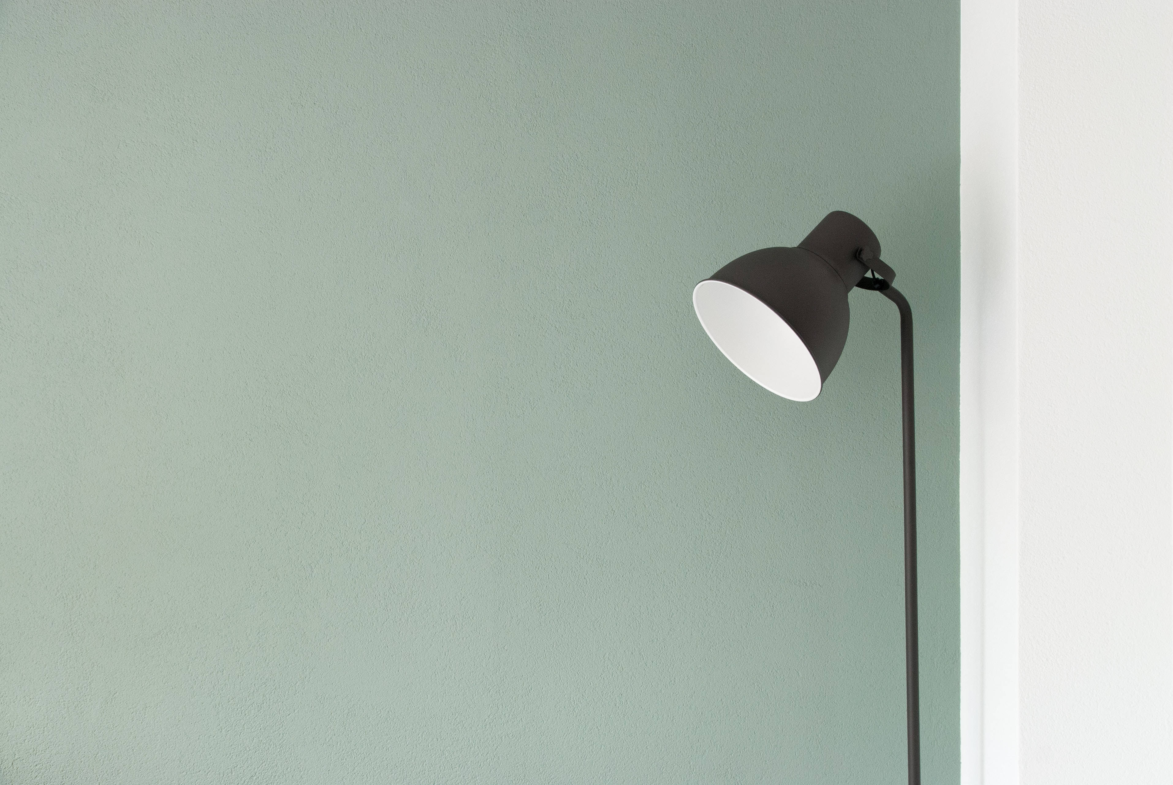 sage green wall, black floor lamp, white interior, 2K Desktop Wallpaper
