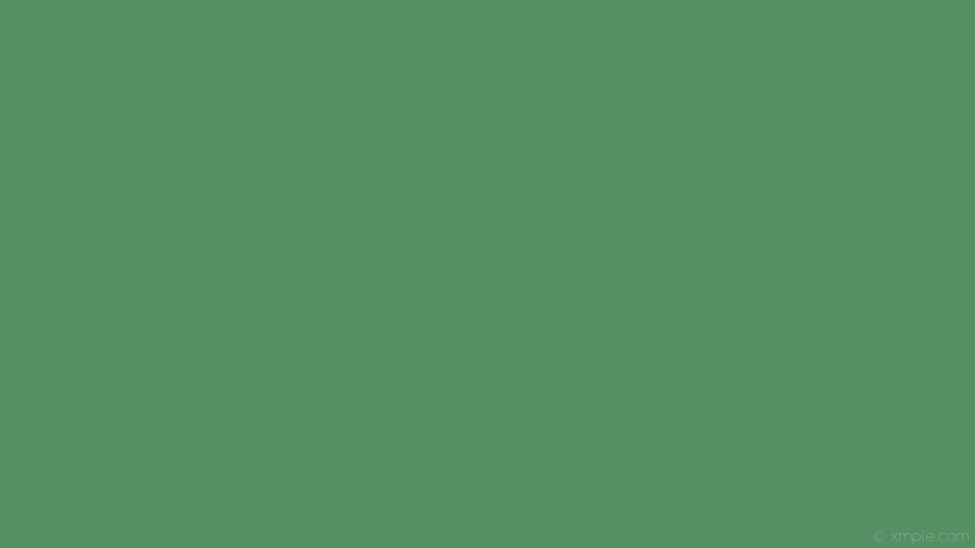 Sage, plain green, olive green, Full HD Desktop Wallpaper