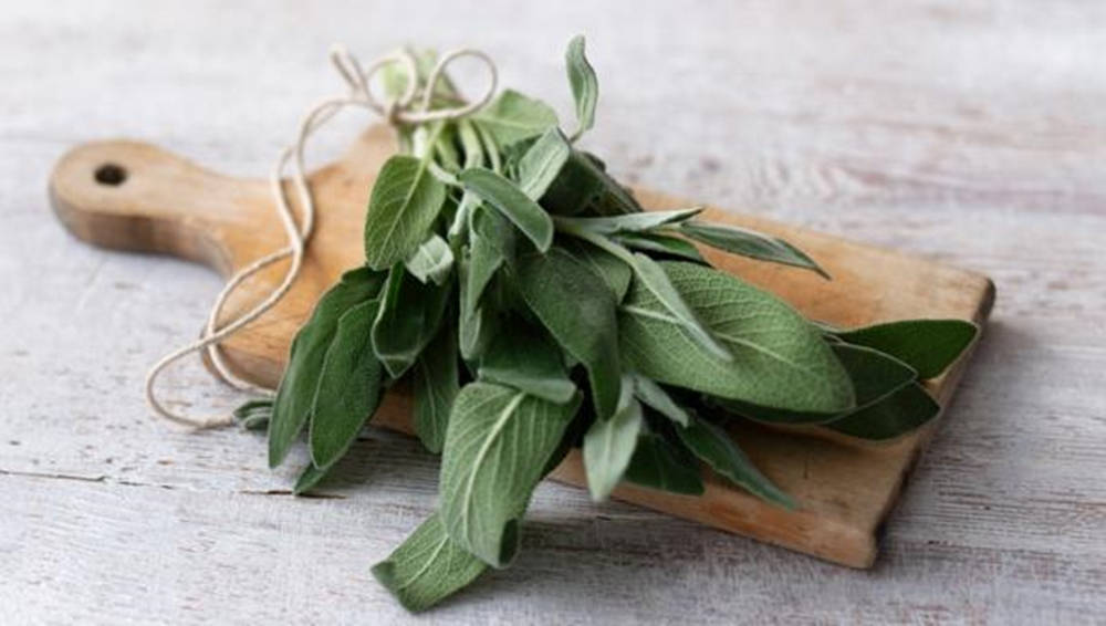fresh sage plant, twine, rustic wooden cutting board, SD Desktop Wallpaper