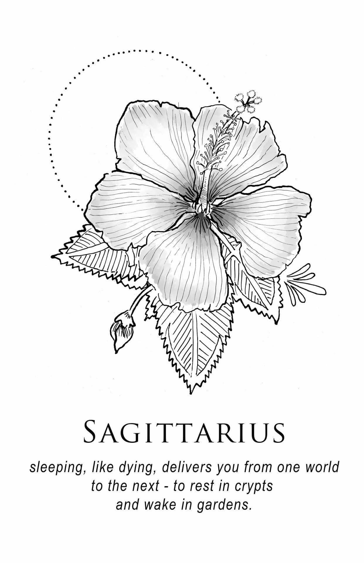 Sagittarius, zodiac, hibiscus flower, Full HD Phone Wallpaper