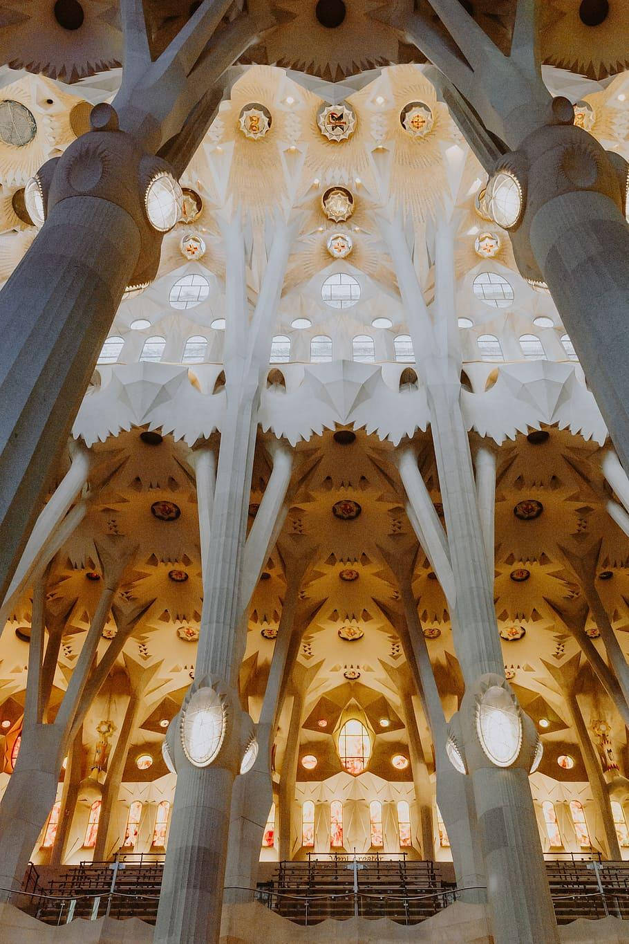 Sagrada Familia, white ceiling, towering tree-like pillars, HD Phone Wallpaper