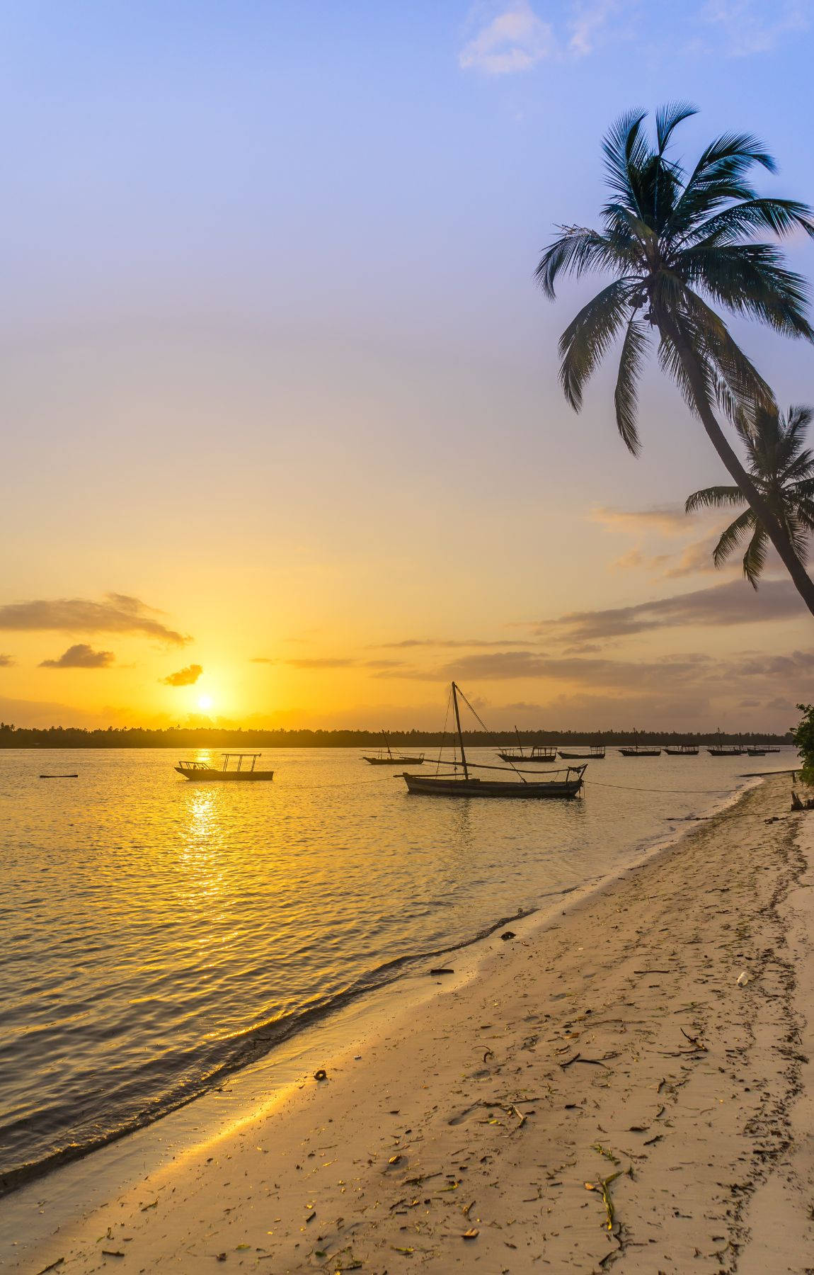 tropical beach, sunrise, calm tropical waters, HD Phone Wallpaper