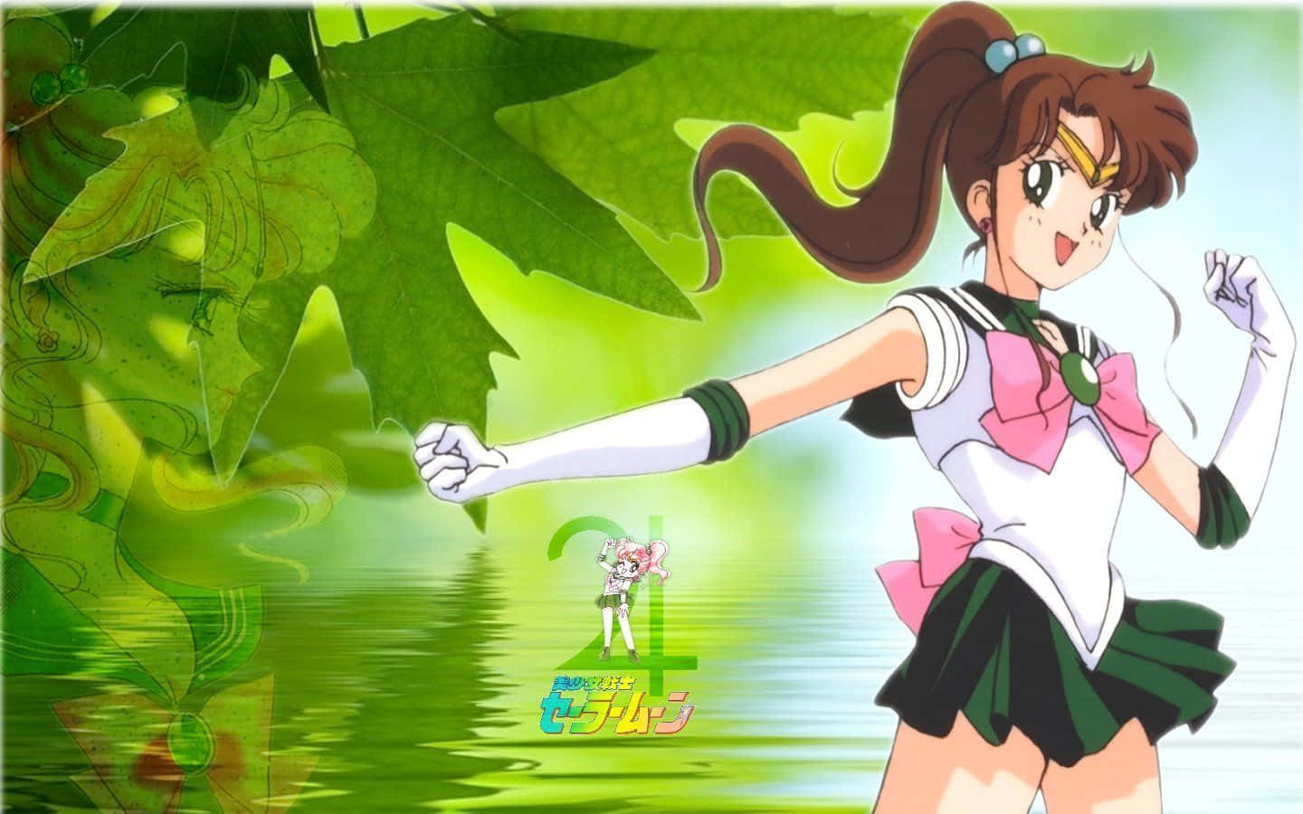 Sailor Jupiter, anime girl, sailor uniform, HD Desktop Wallpaper