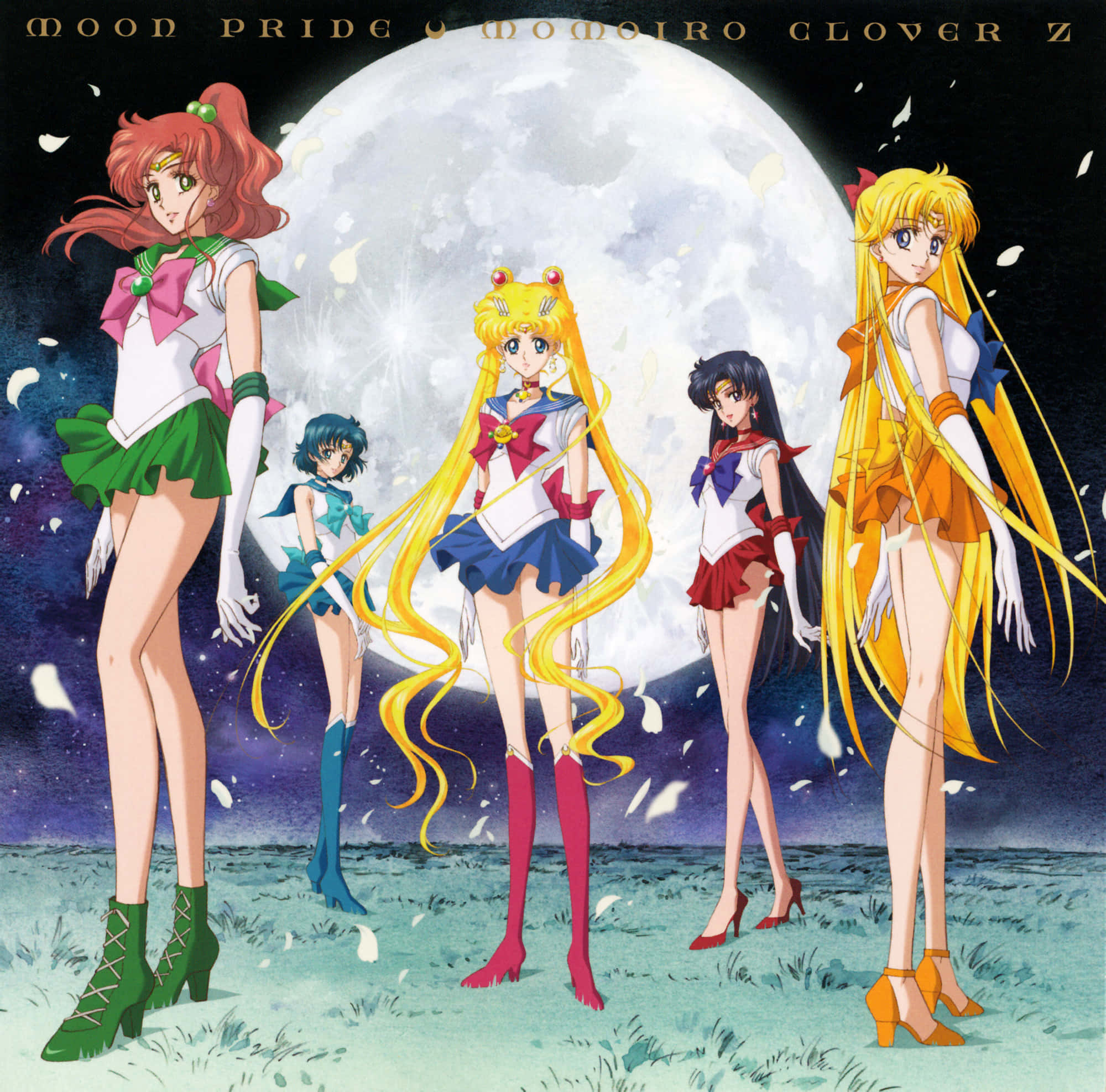 Sailor Jupiter, Giant moon, Starry night sky, Full HD Desktop Wallpaper