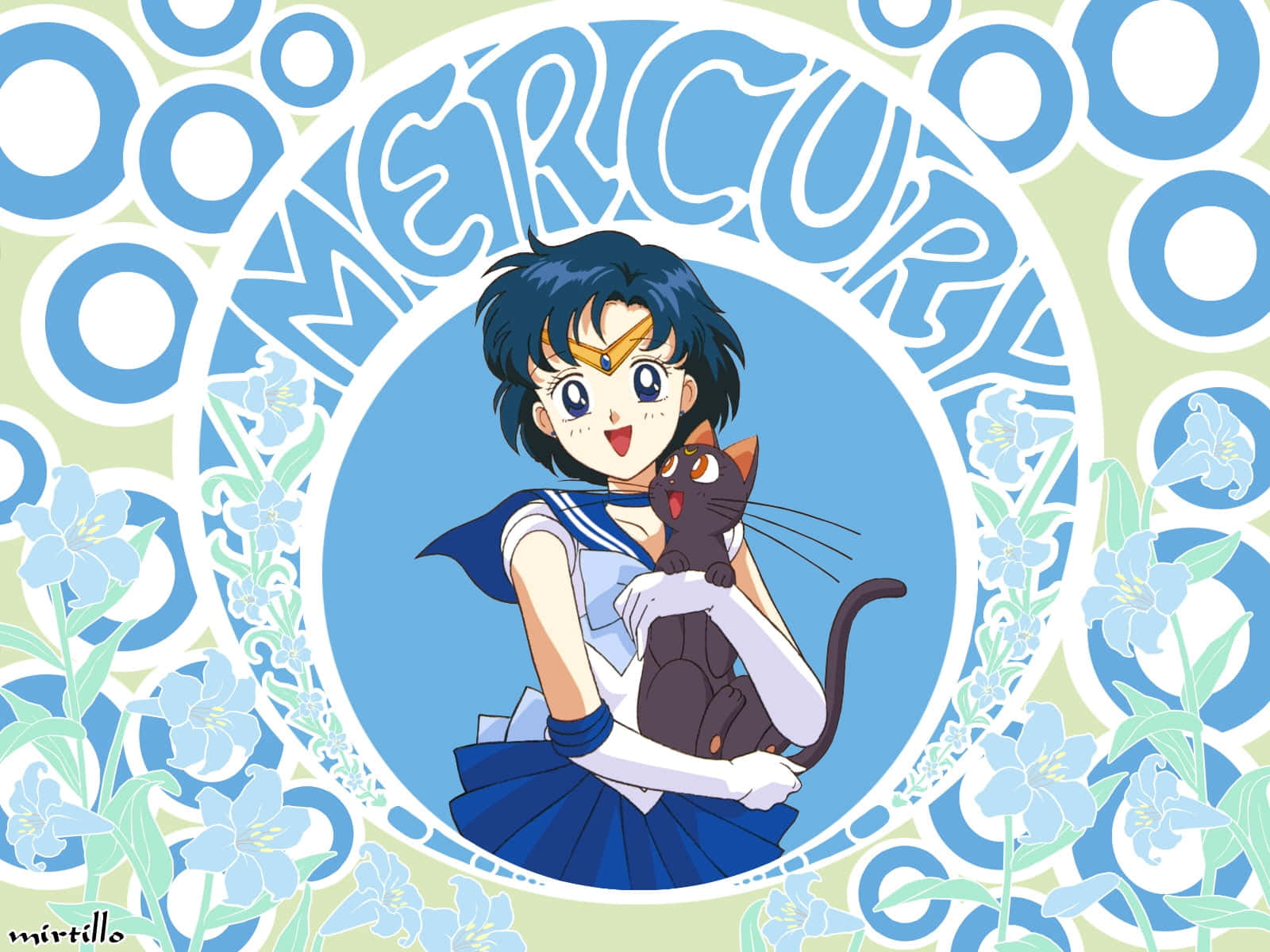 Sailor Mercury, sailor uniform, black cat, HD Desktop Wallpaper