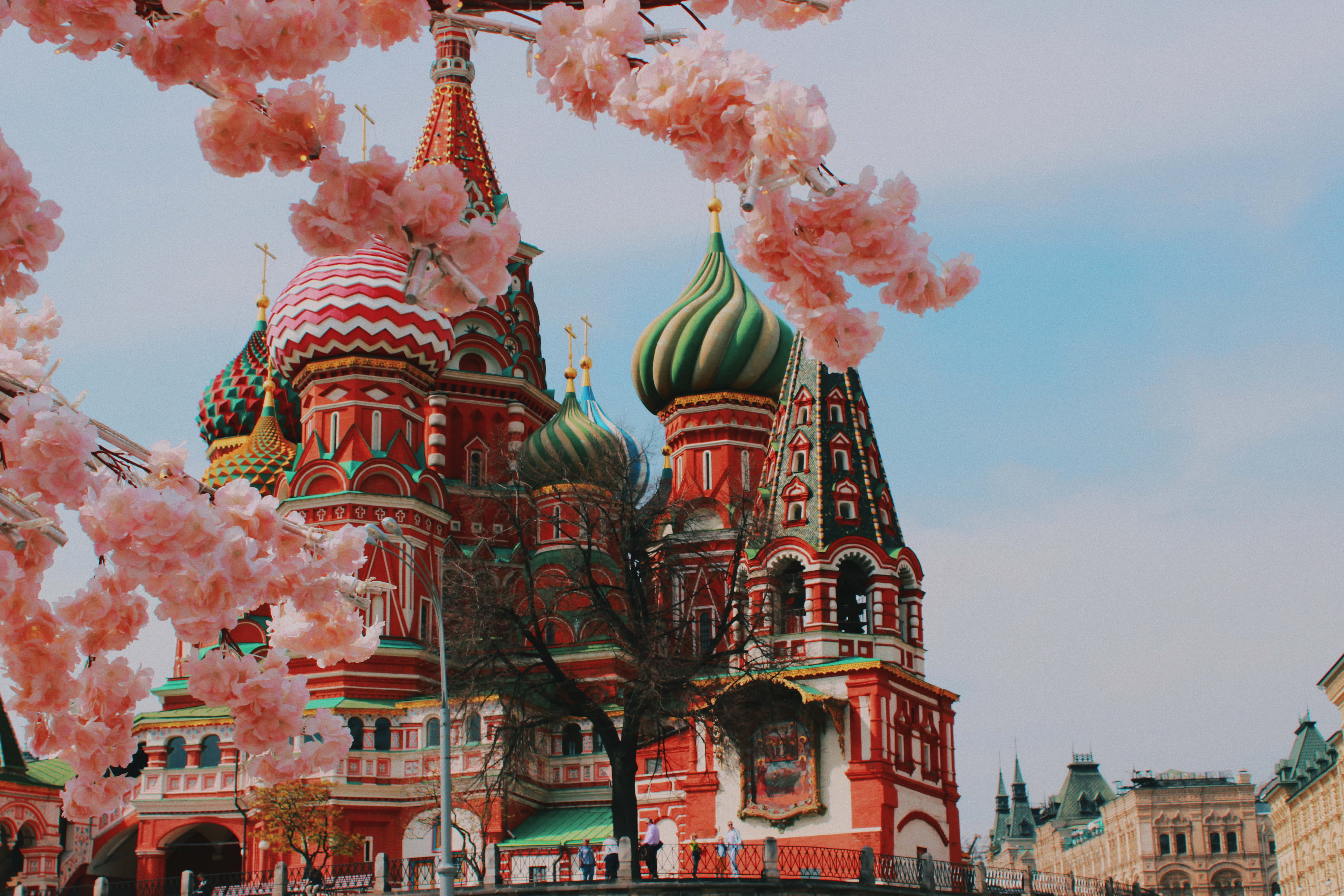 Saint Basils Cathedral, cherry blossoms, red and green domes, 5K Desktop Wallpaper