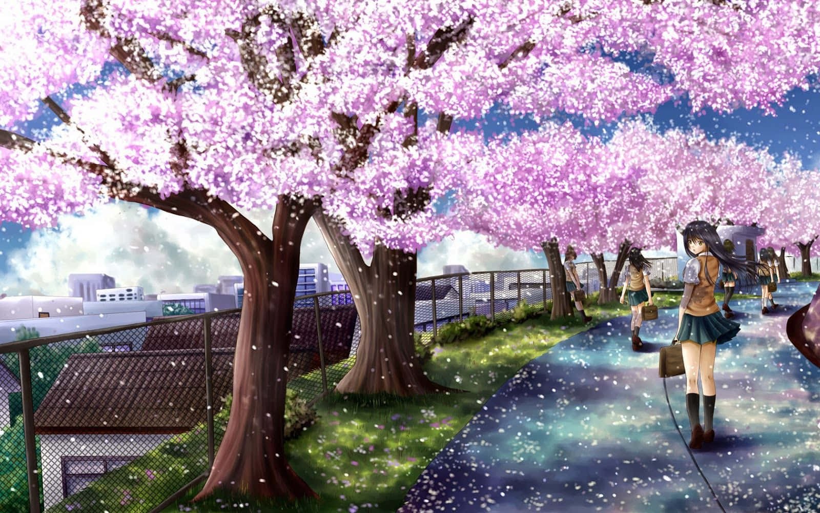 Sakura Anime, cherry blossoms, pink cherry trees, HD Desktop Wallpaper